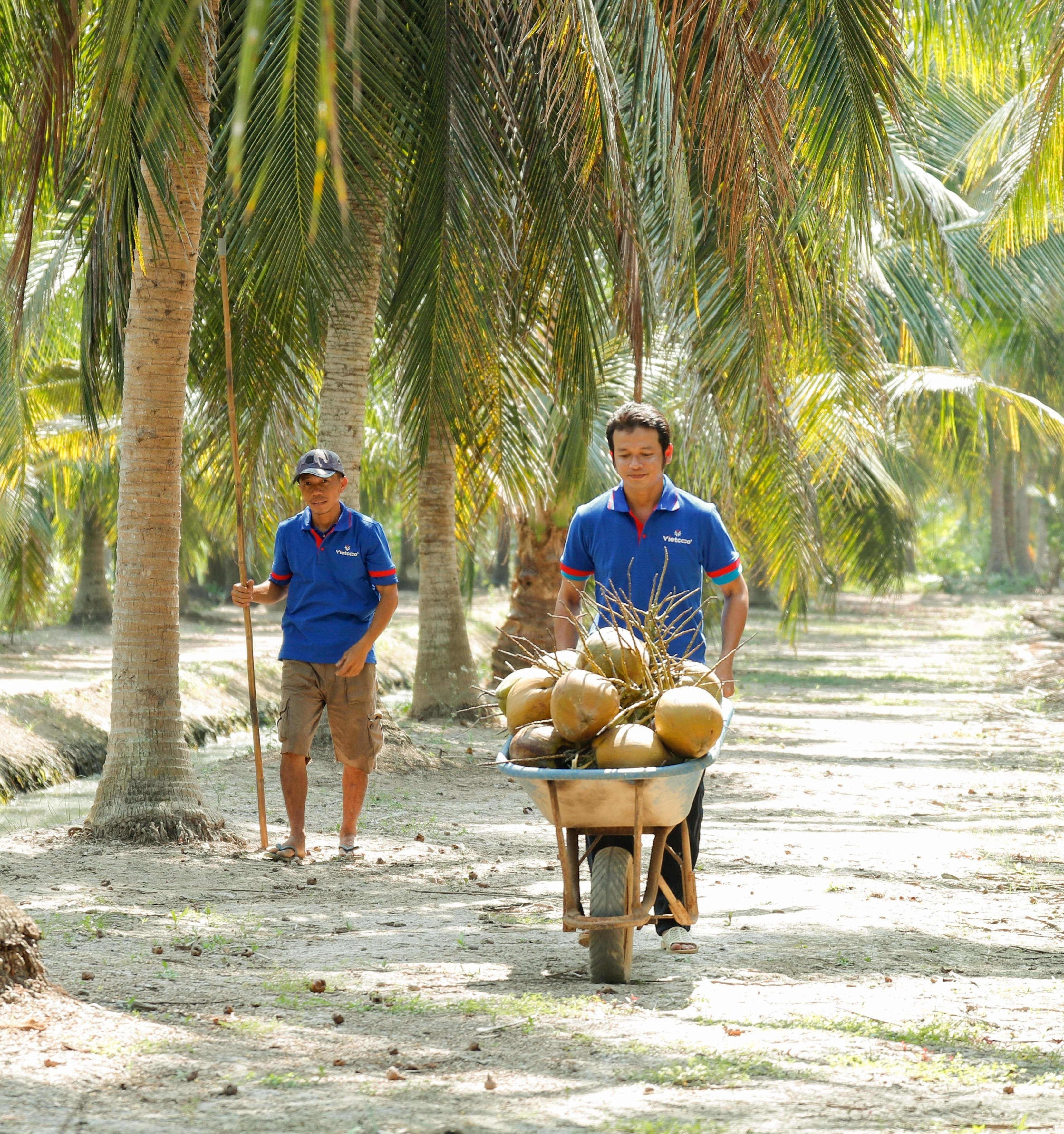 Tinh hoa Viet chung suc anh 5