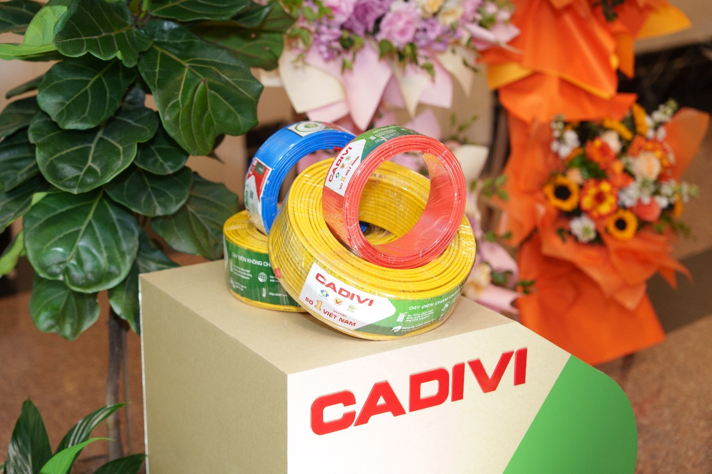 Cadivi anh 1