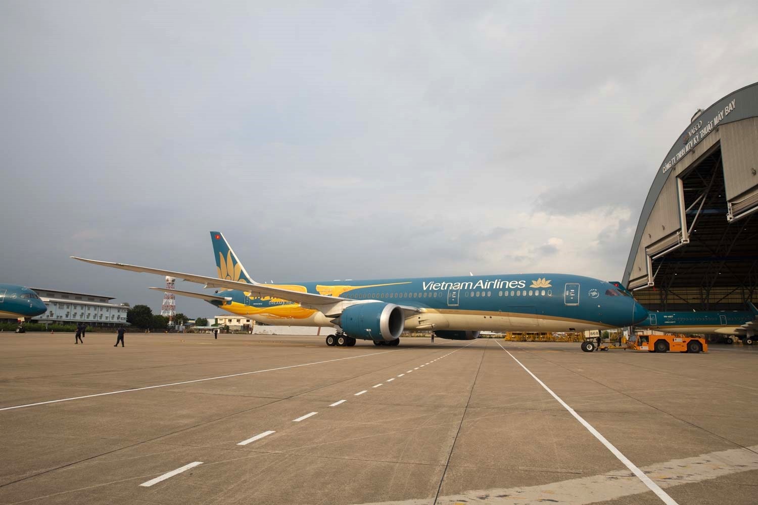 Vietnam Airlines anh 2