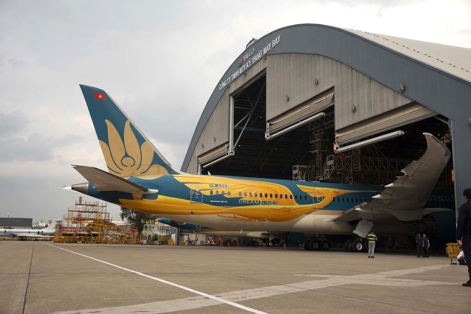 Vietnam Airlines anh 3