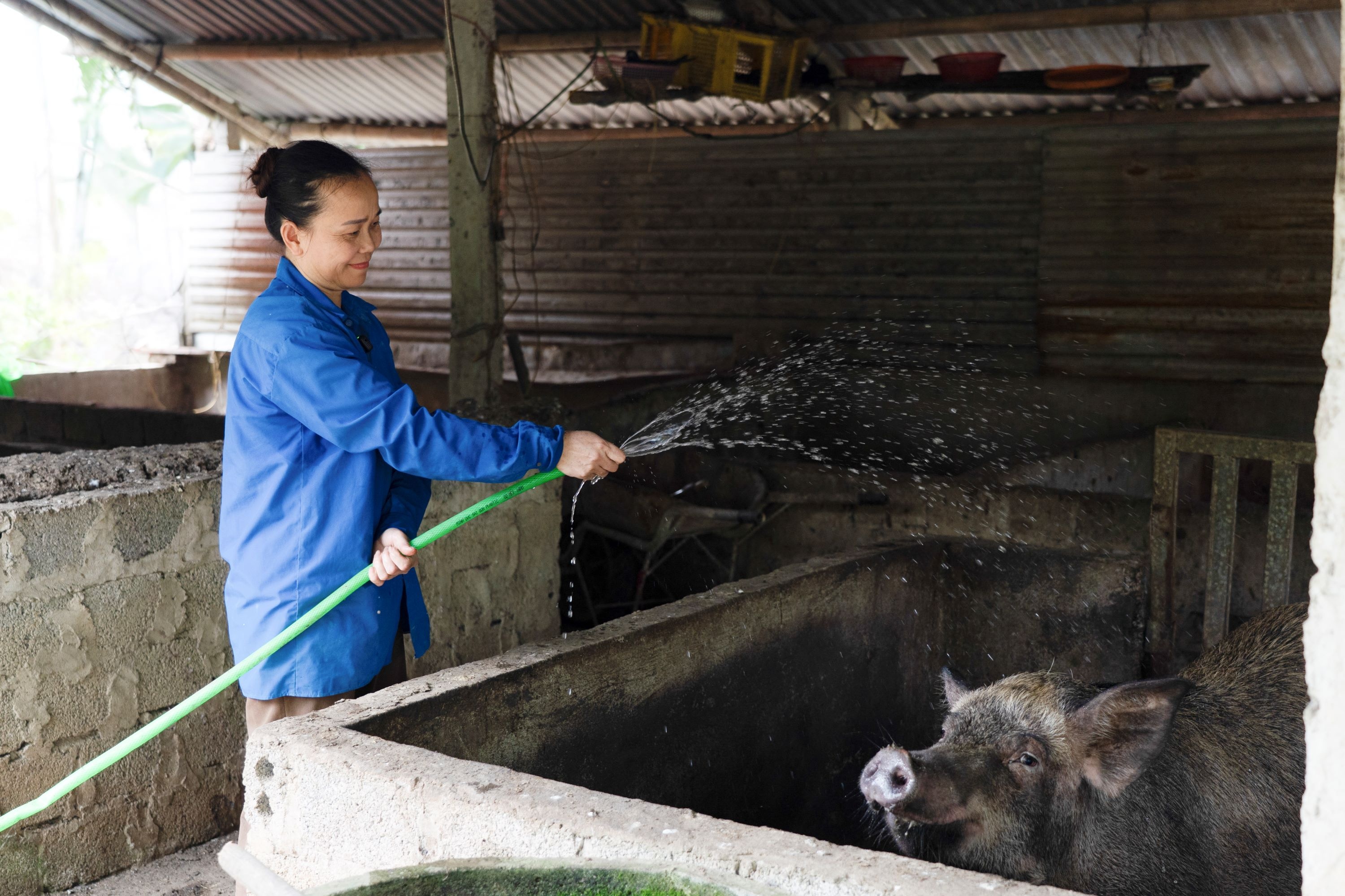 GREENFEED Viet Nam anh 4