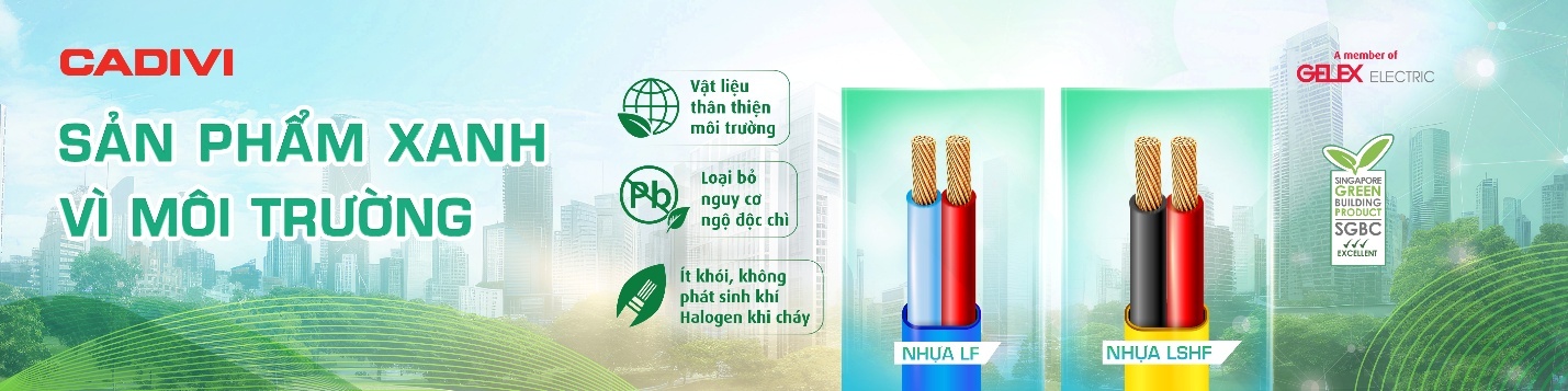 Cadivi anh 4