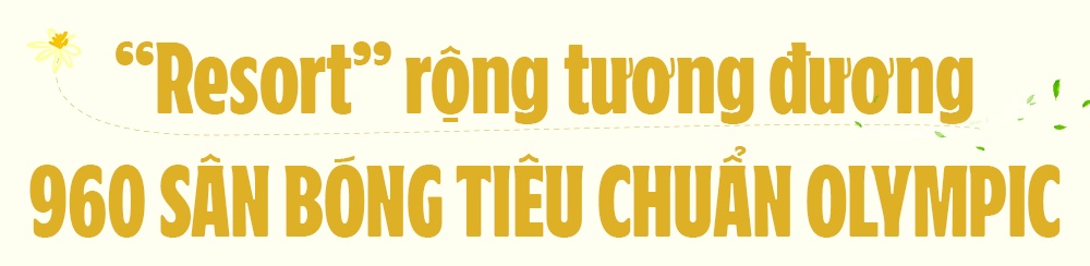 Trang trại Vinamilk ảnh 2 Trang trai Vinamilk anh 2