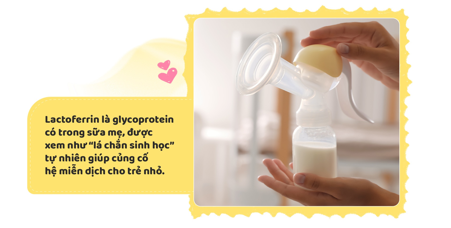 Nutifood GrowPLUS+ Colostrum Lactoferrin anh 2