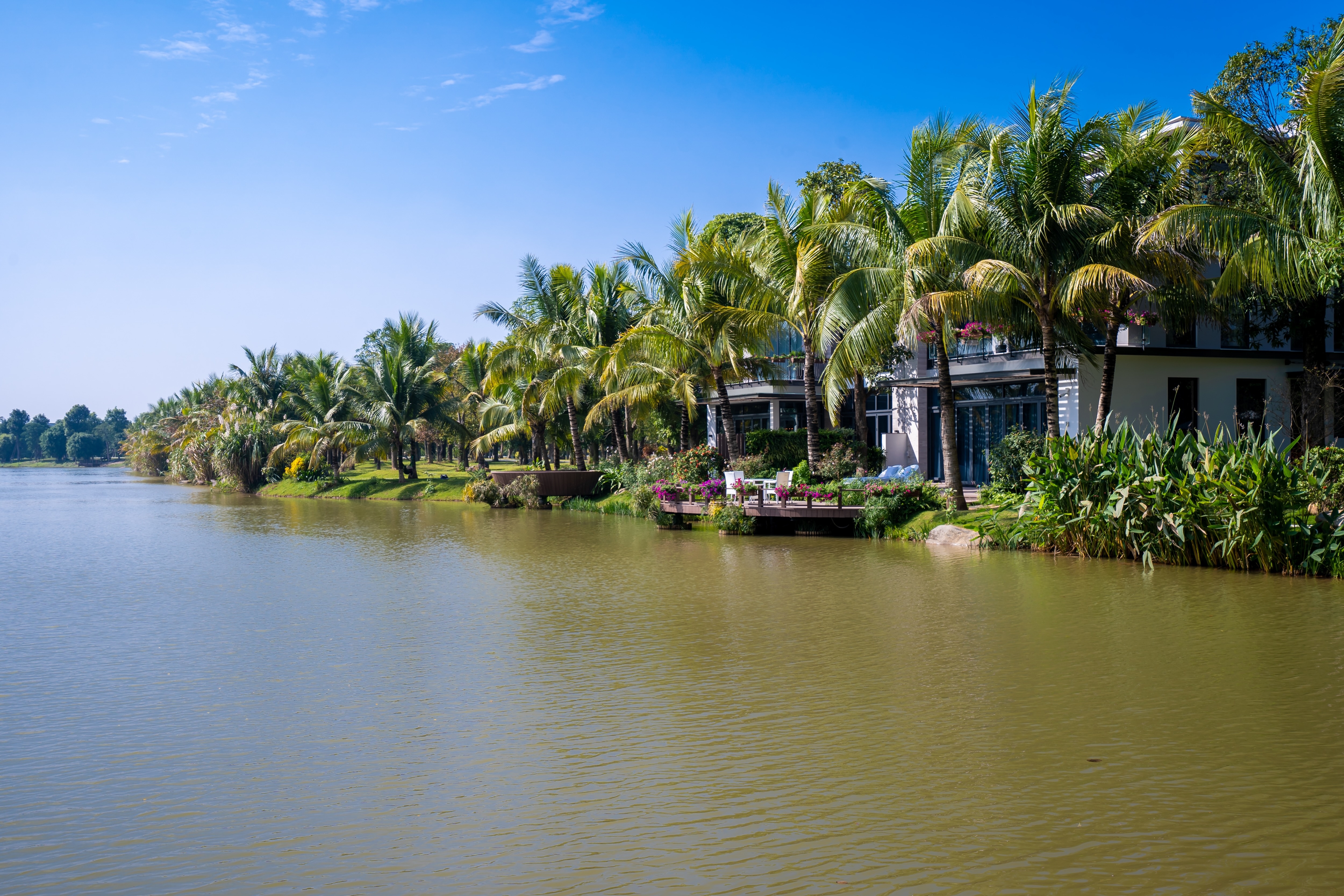 Ecopark anh 2