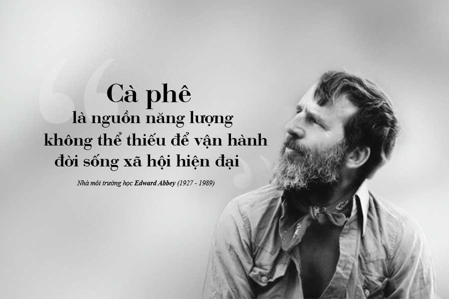 Ca phe va su phat trien ben vung hinh anh