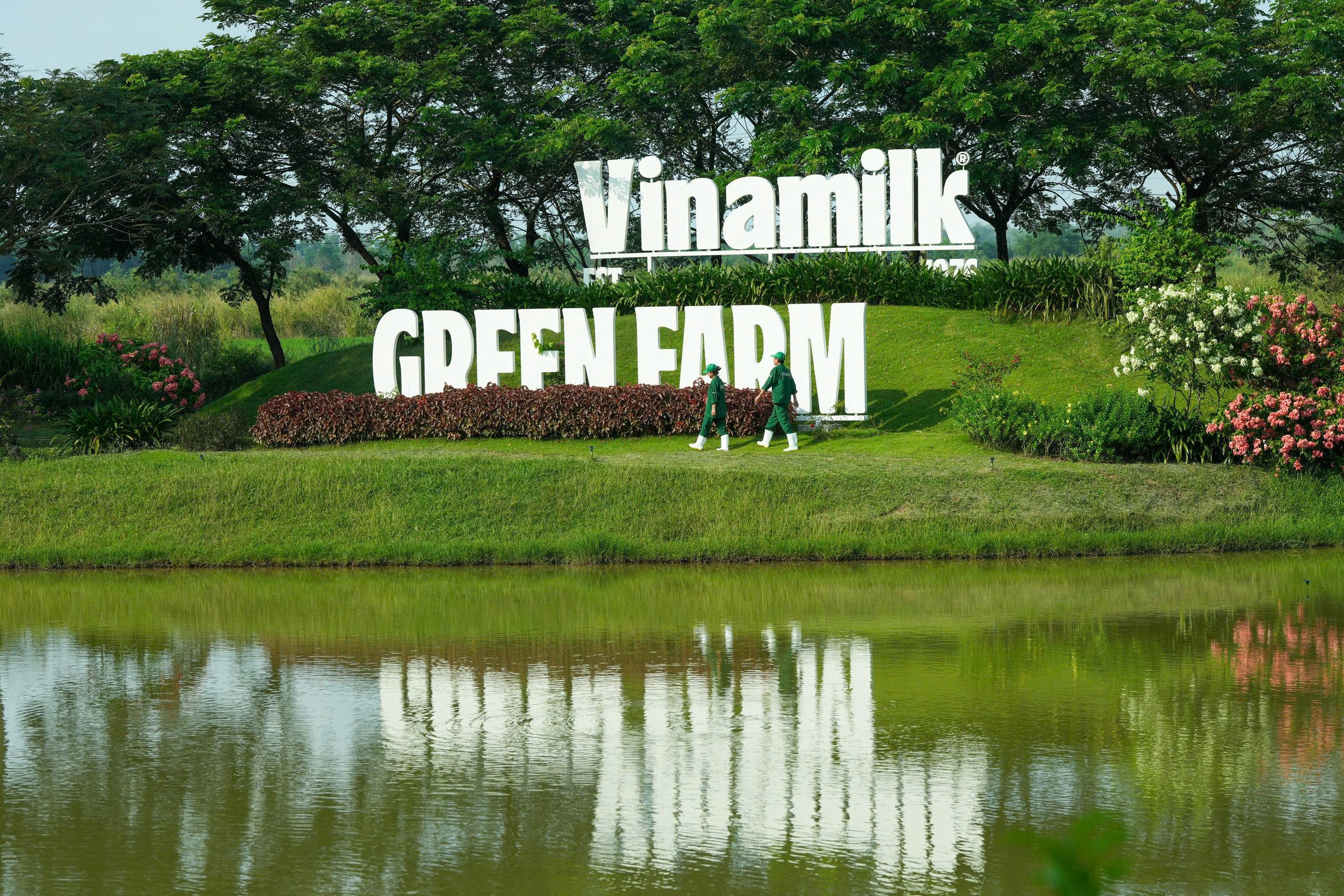 Vinamilk anh 8