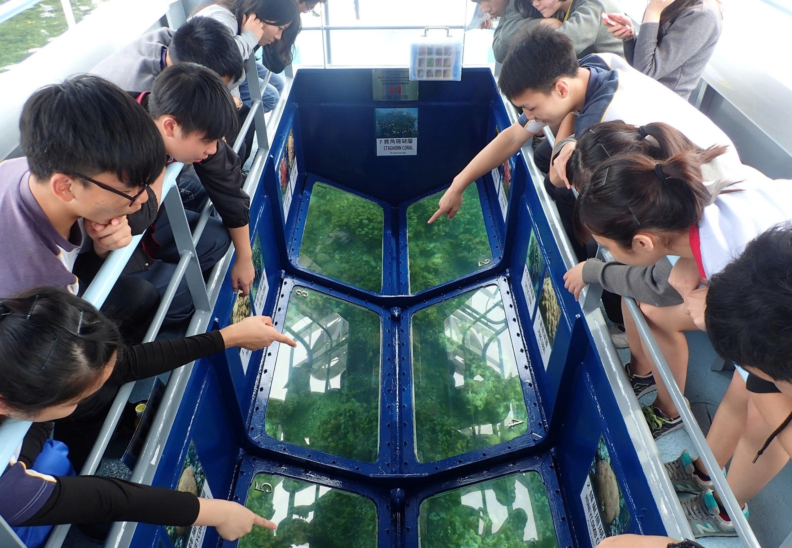 Hong Kong Summer Viva va 4 trai nghiem dang nho cung hoi ban than hinh anh