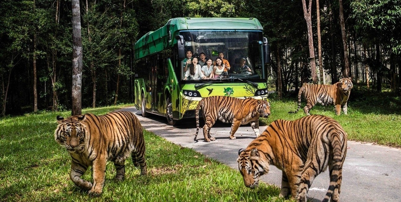 Vingroup Phú Quốc  ảnh 4 Vingroup Phu Quoc anh 4