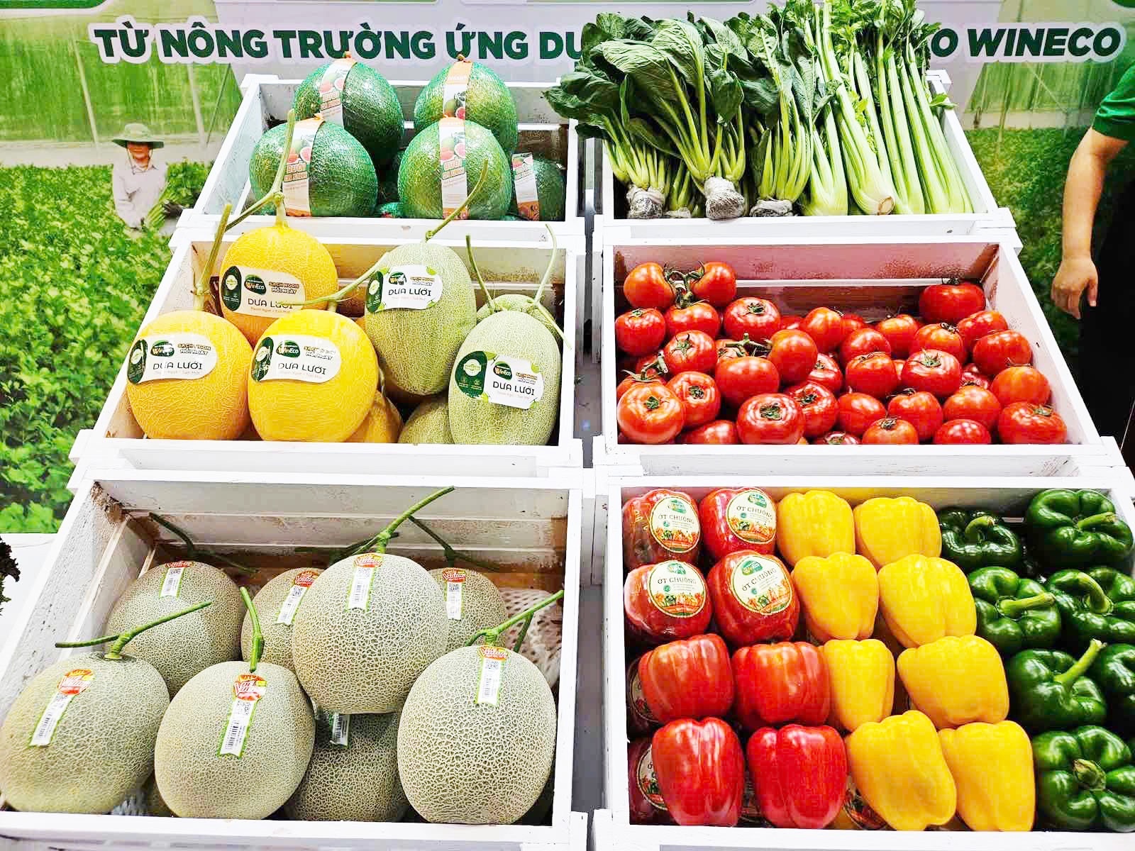 WinMart anh 3