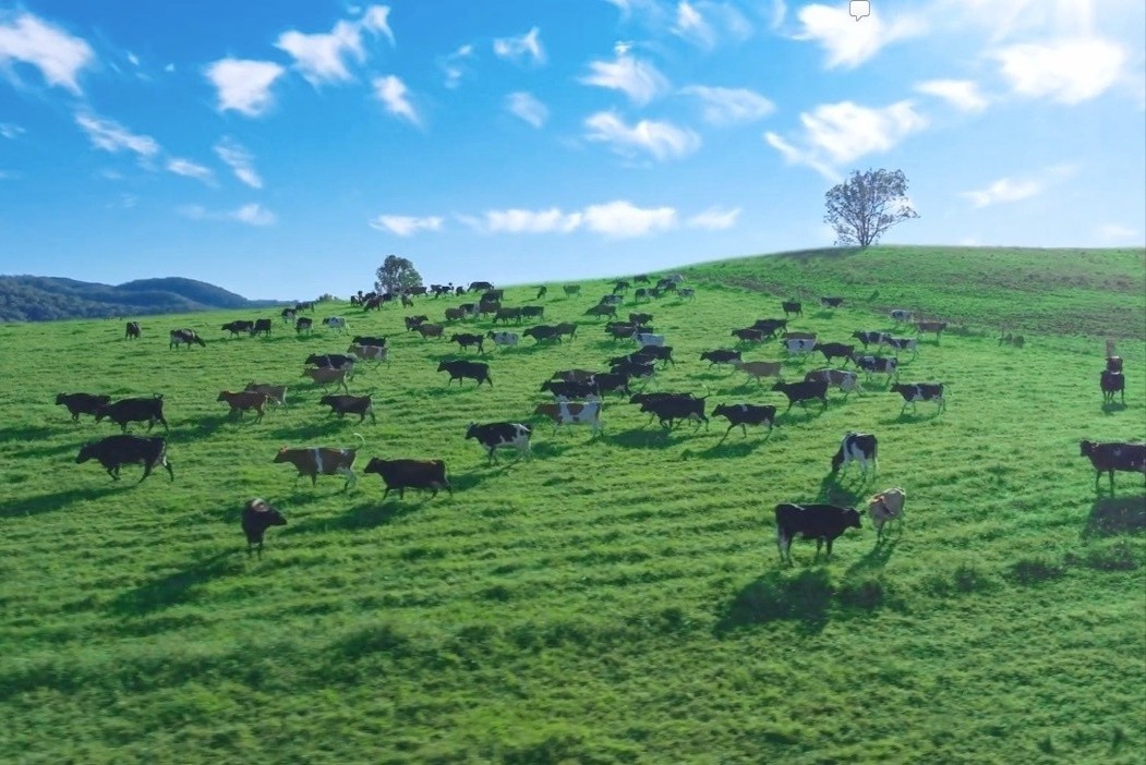 Tu noi khong khi sach nhat the gioi den ly sua nguyen ban '10 khong' hinh anh