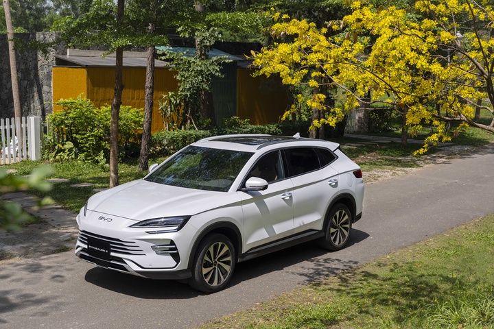 BYD anh 6