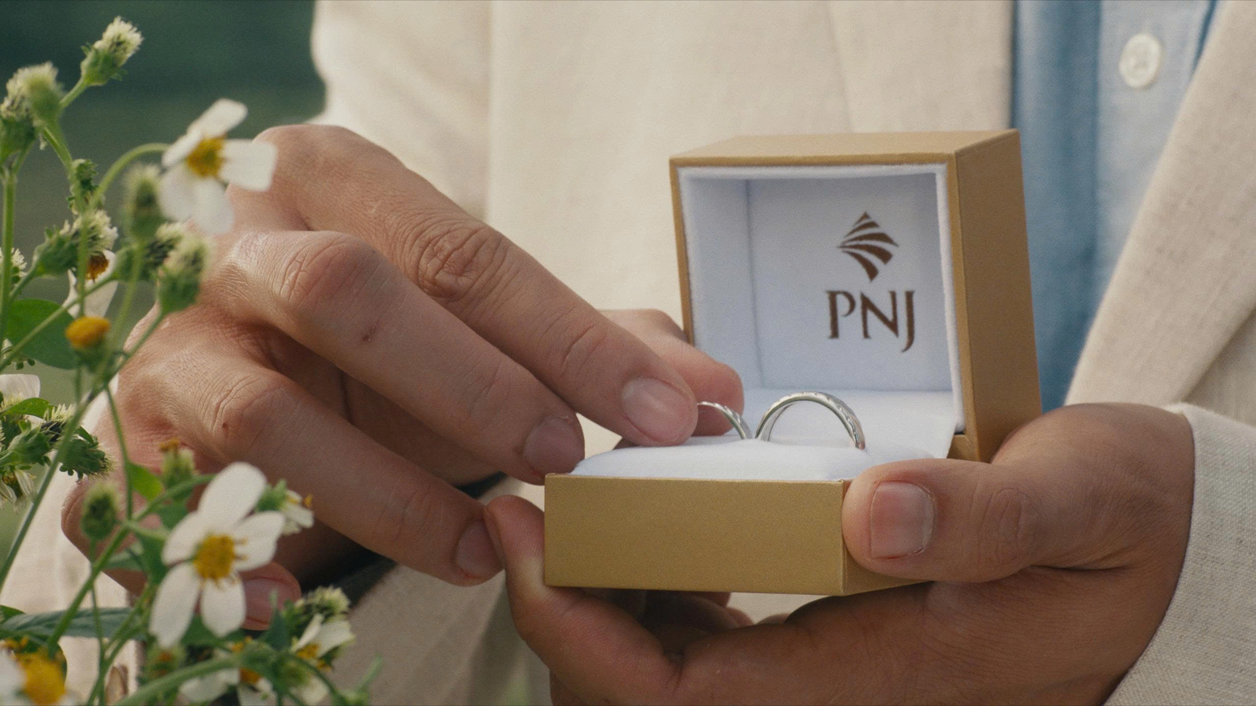 PNJ anh 4