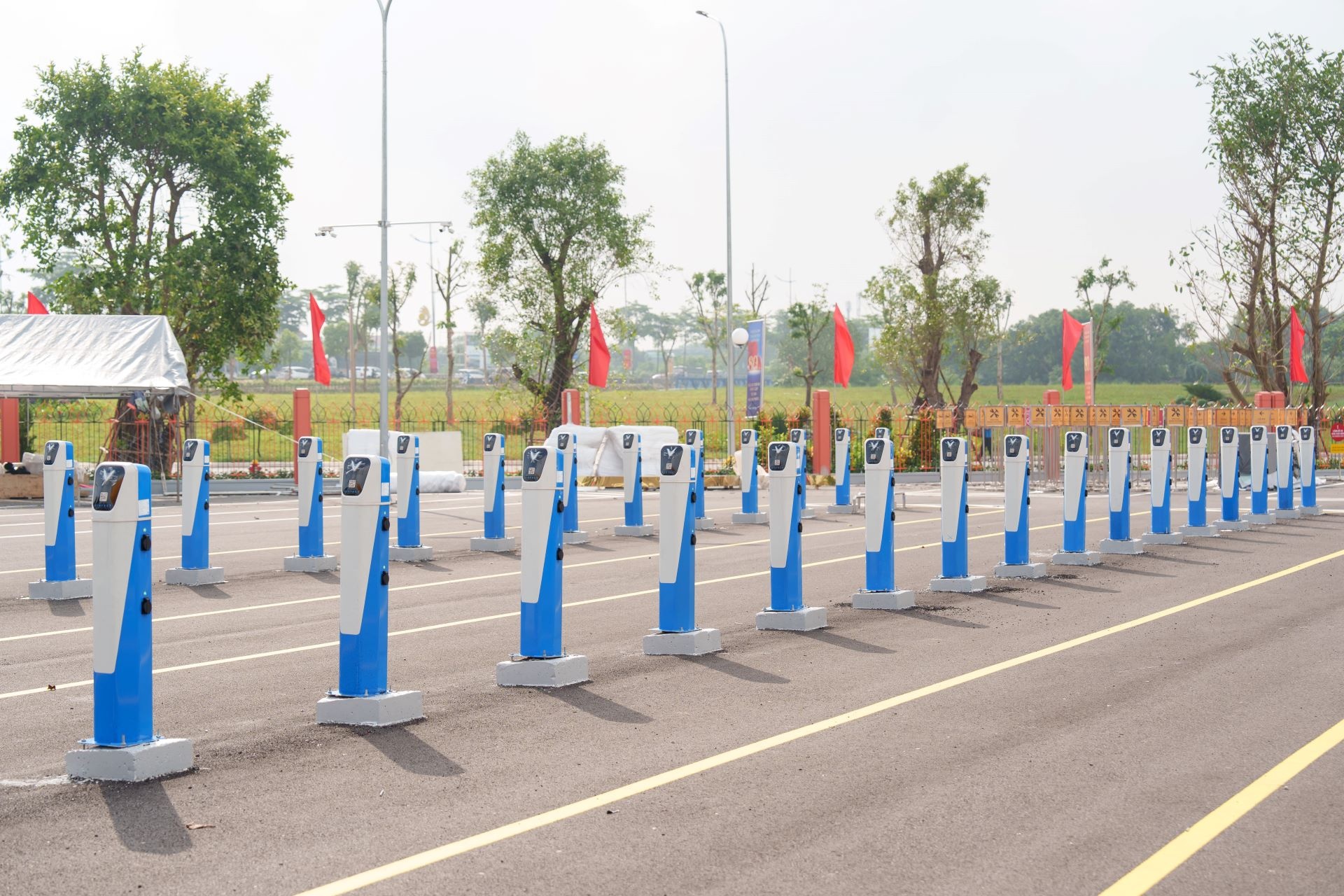 V-Green ảnh 8 V-Green anh 8