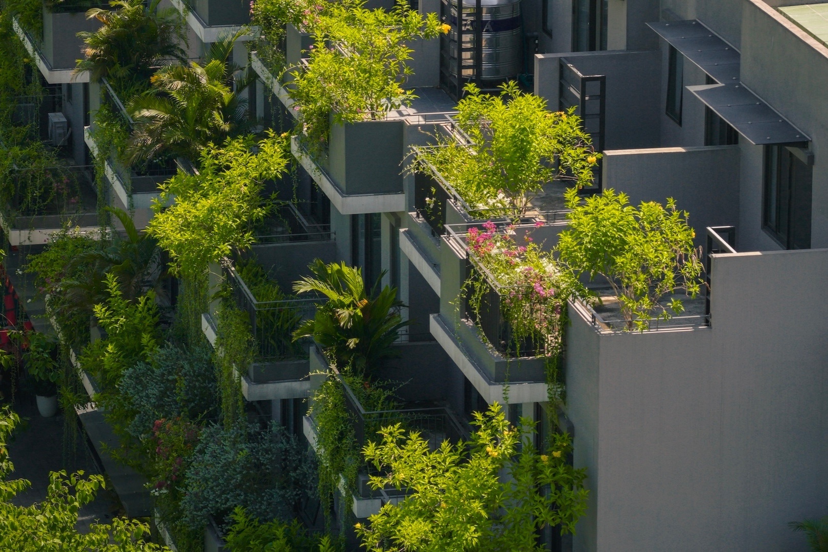 Ecopark,  FPT anh 6