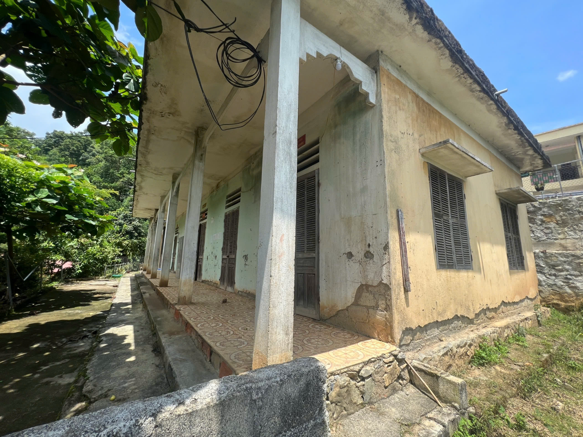 ILA  ảnh 3 ILA anh 3