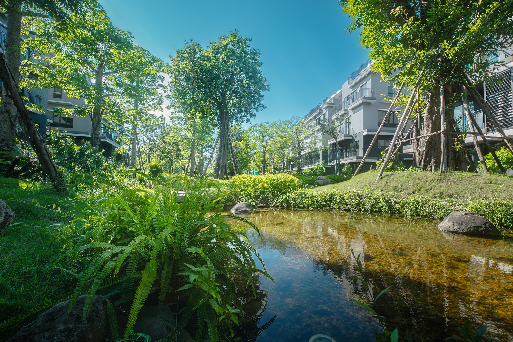 Eco Central Park anh 10