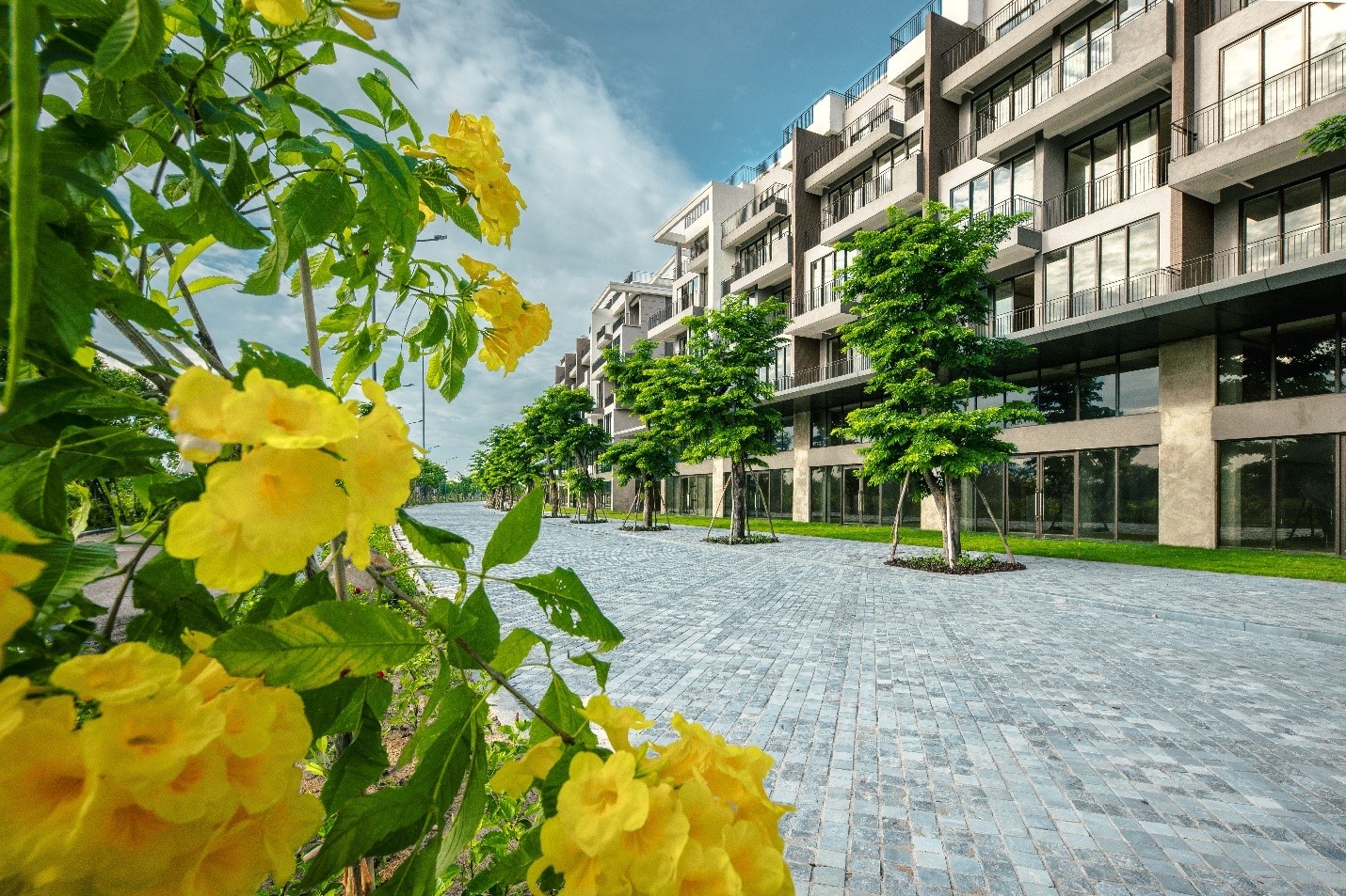 Eco Central Park anh 12