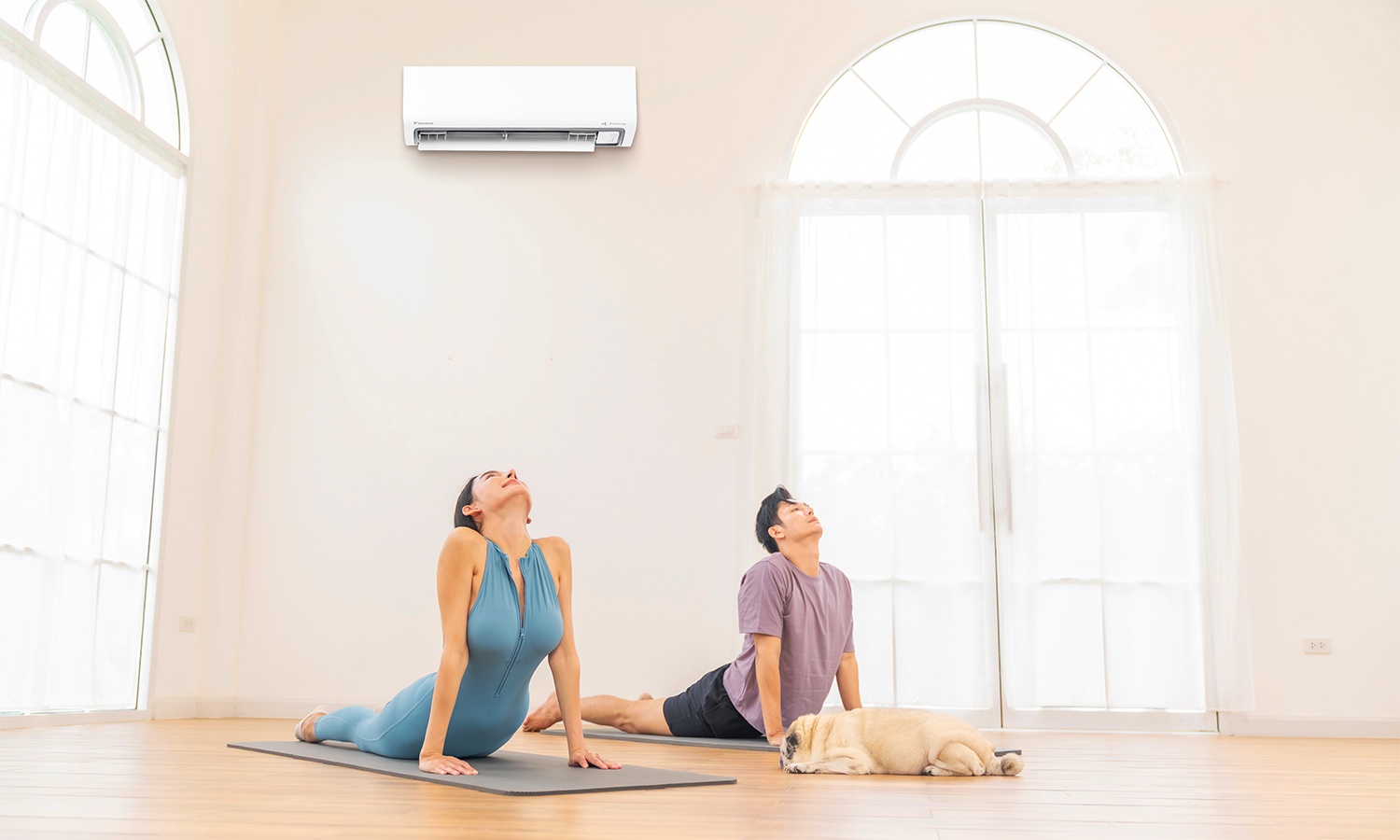 Daikin anh 7
