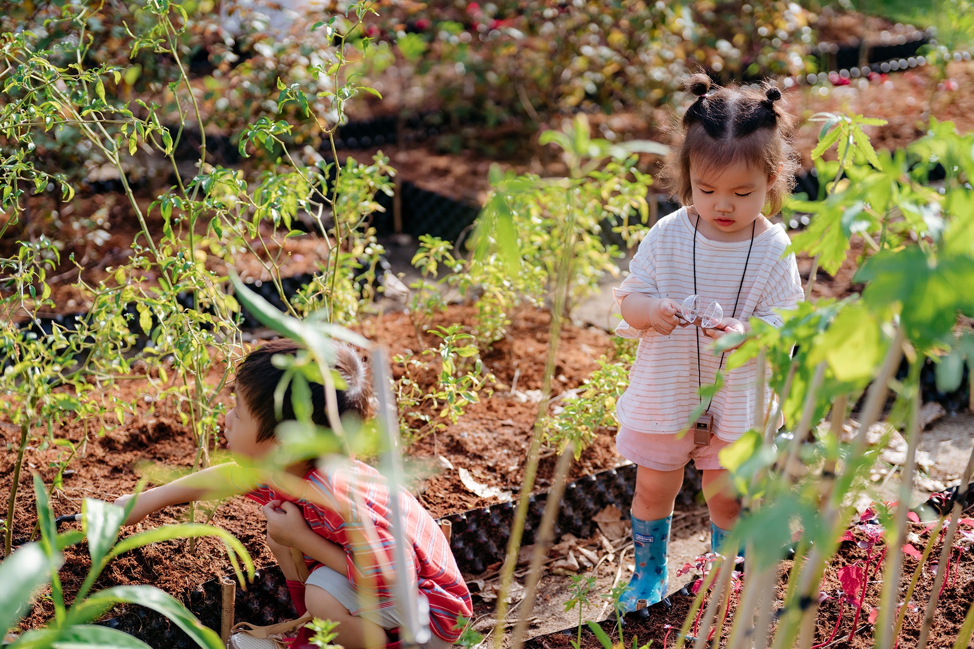Ecopark anh 11