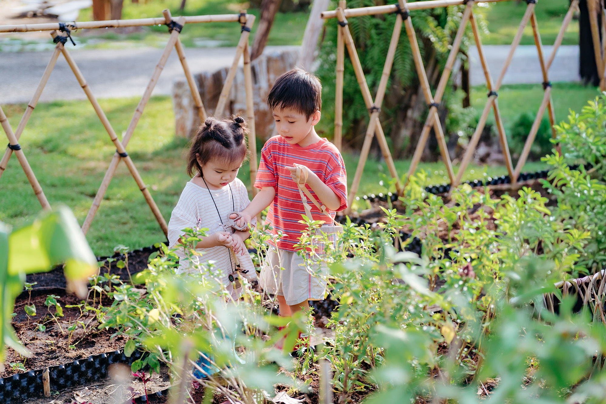 Ecopark anh 9