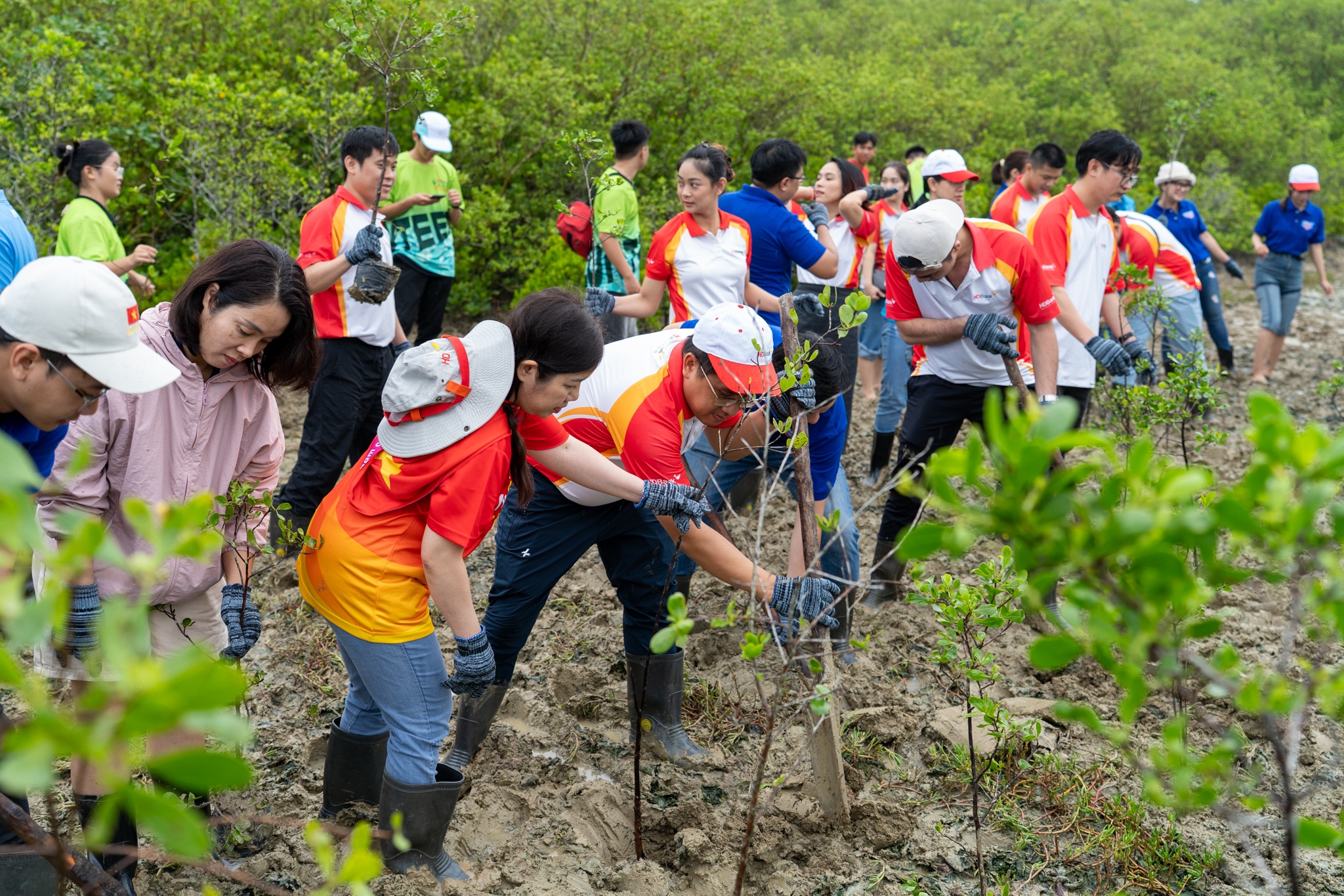 HDBank Green Marathon 2025 ảnh 41 HDBank Green Marathon 2025 anh 41