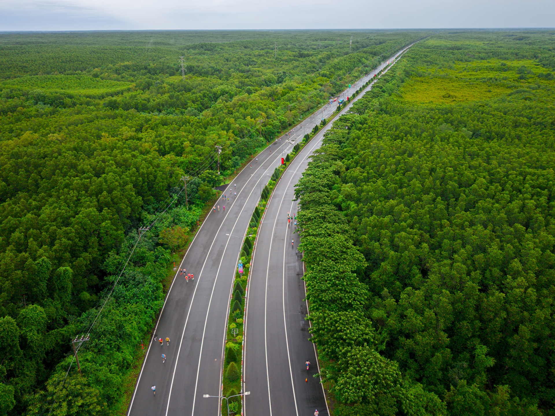 HDBank Green Marathon 2025 ảnh 13 HDBank Green Marathon 2025 anh 13