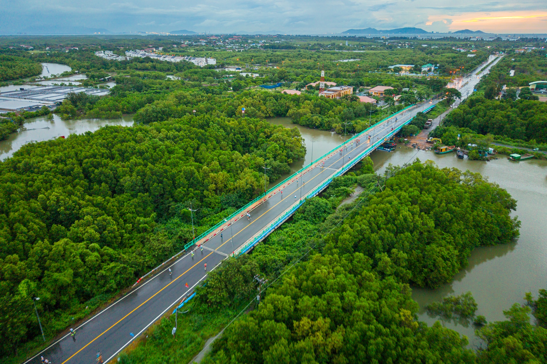 HDBank Green Marathon 2025 ảnh 14 HDBank Green Marathon 2025 anh 14