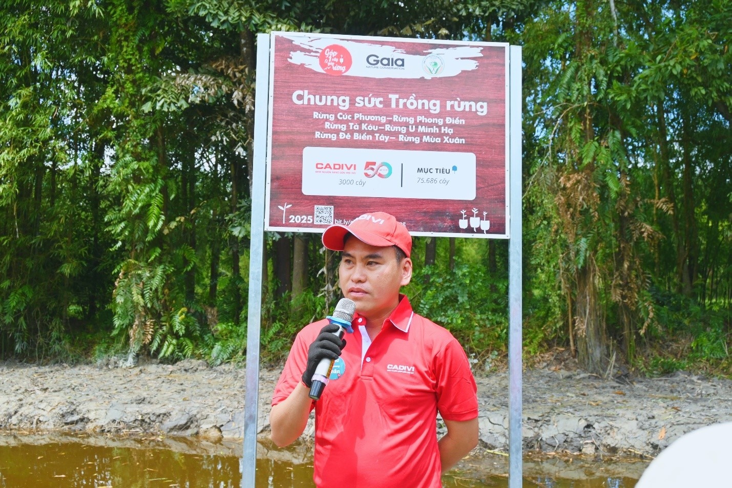 Cadivi anh 1
