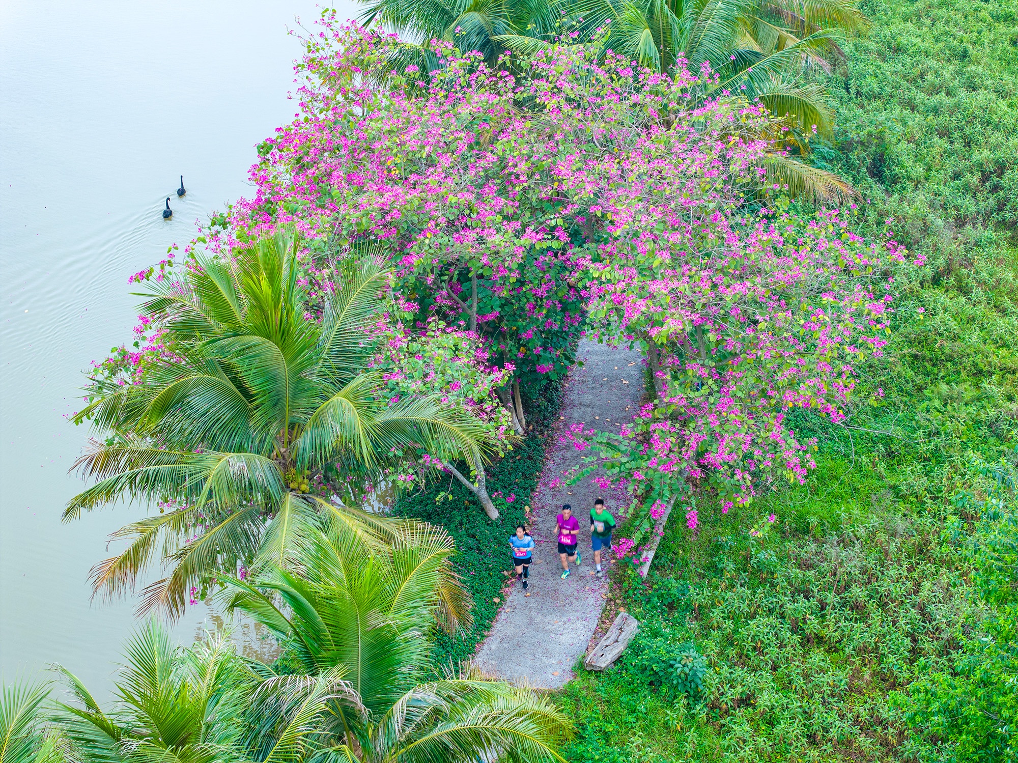 Ecopark anh 1
