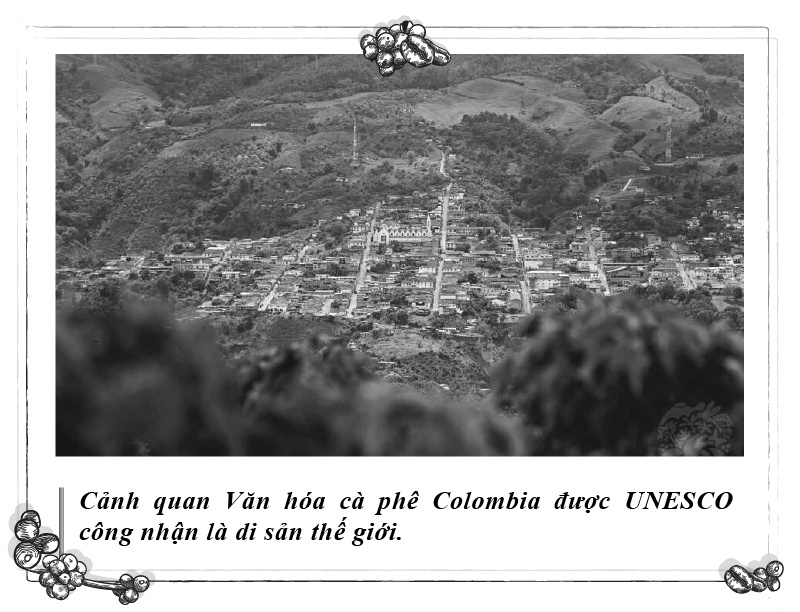Ca phe Triet dao anh 2