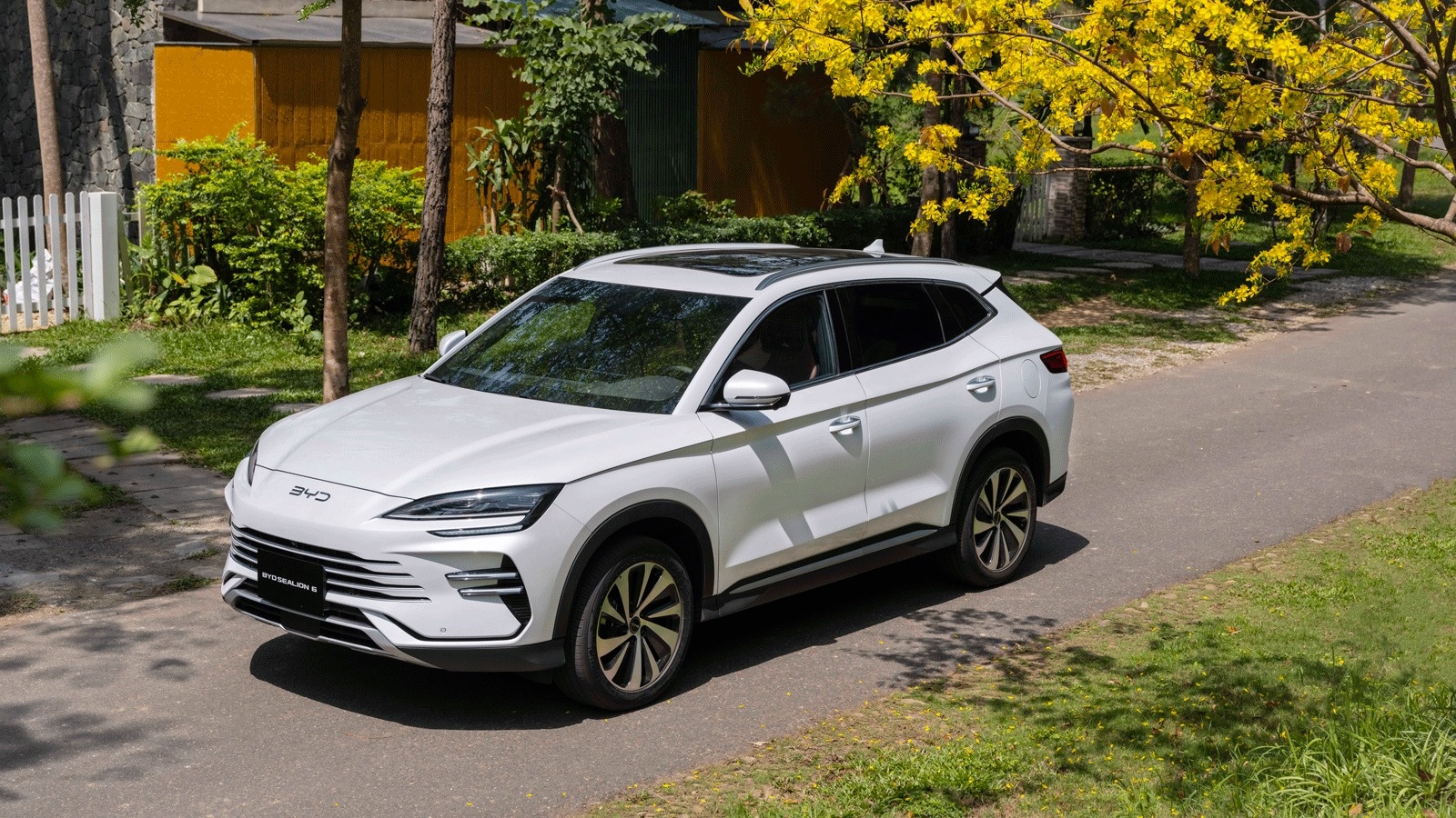 BYD anh 3