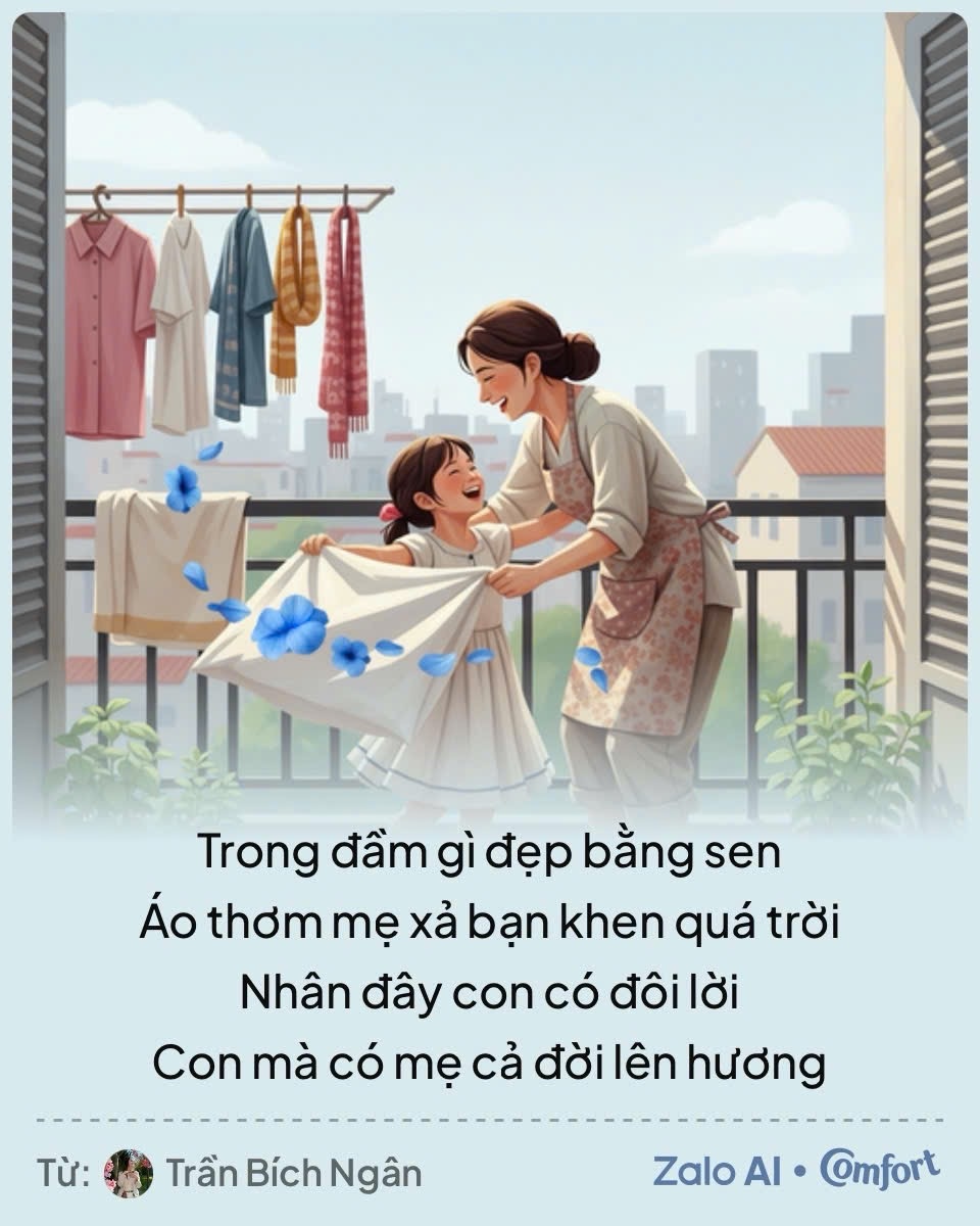 Comfort anh 3