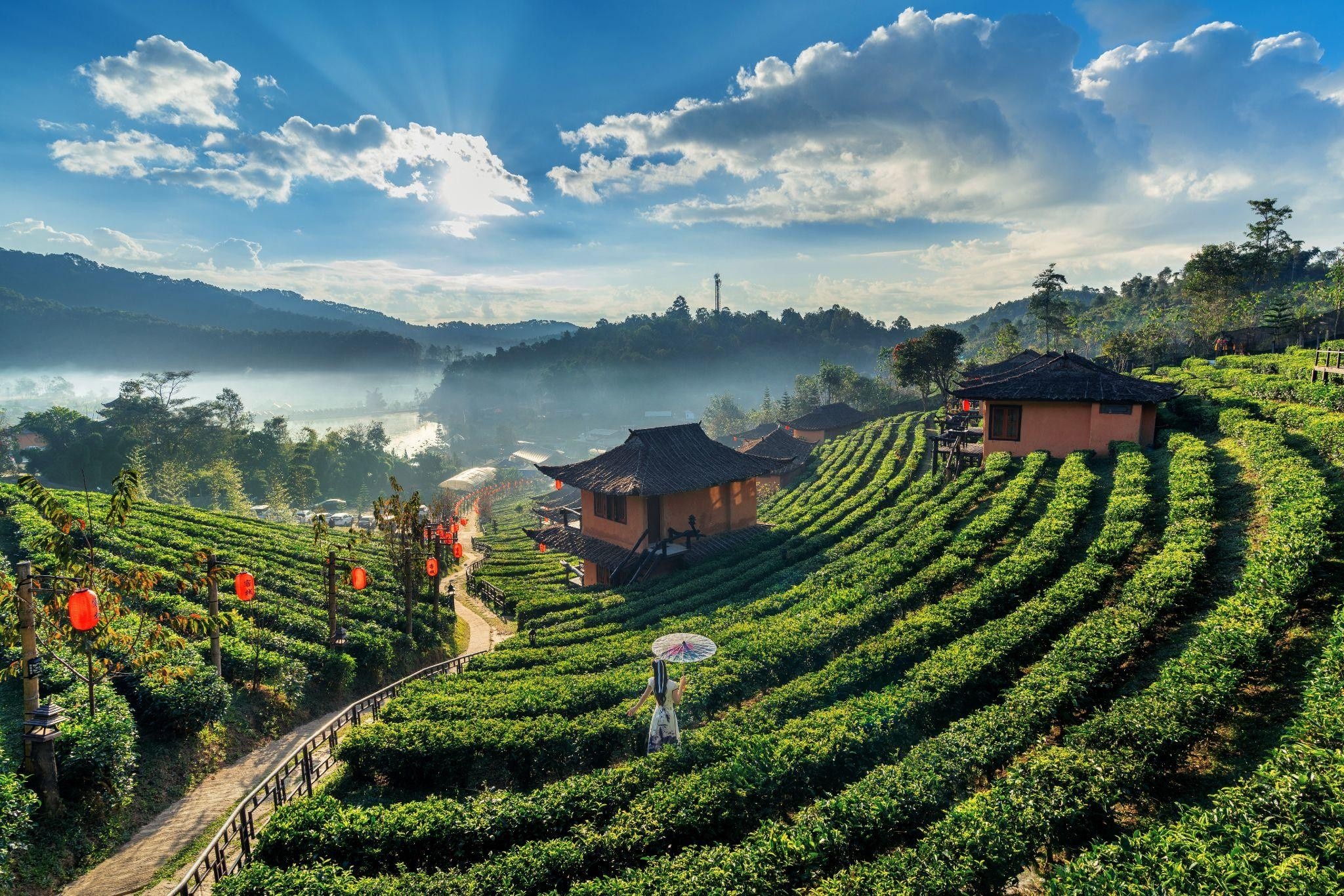 Du lịch Thái Lan ảnh 1 Du lich Thai Lan anh 1