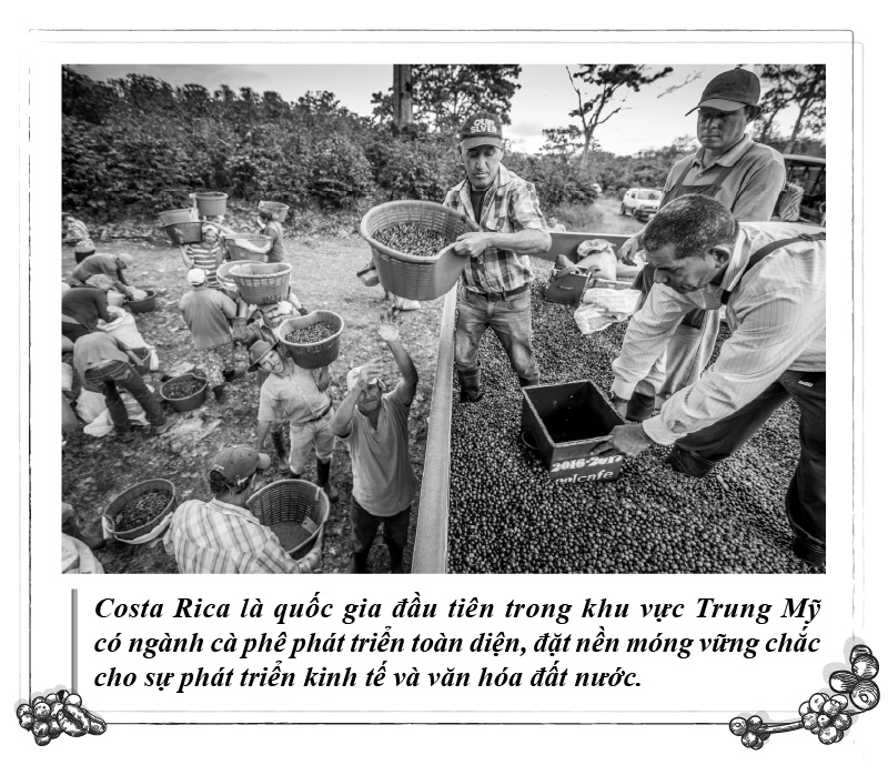 Ca phe Triet dao anh 2