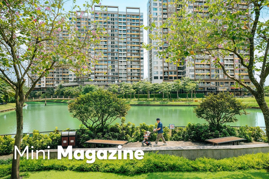 Cach Nam Long kien tao do thi tich hop tu triet ly gia tri that hinh anh