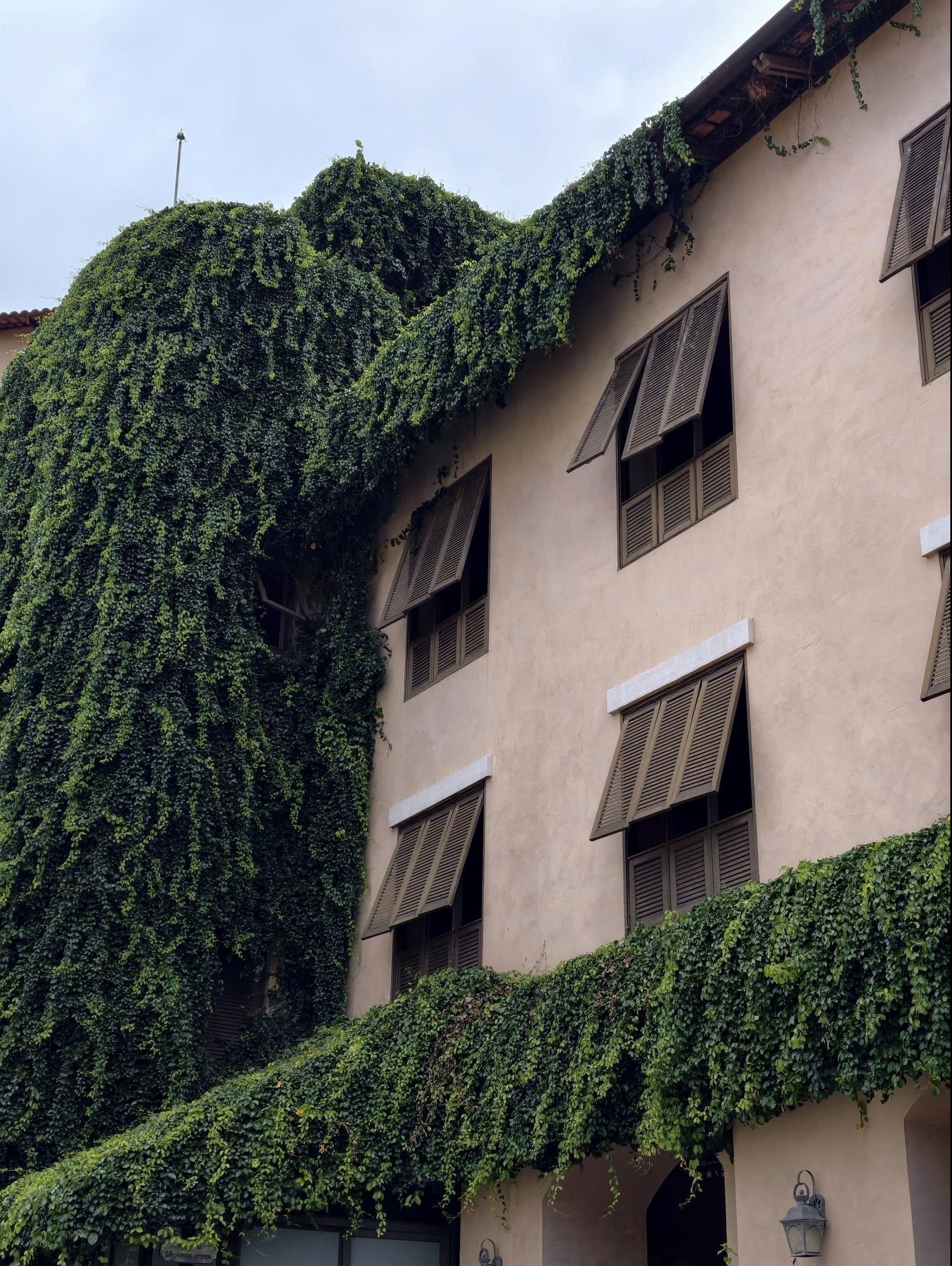 vivo X300 Pro anh 14