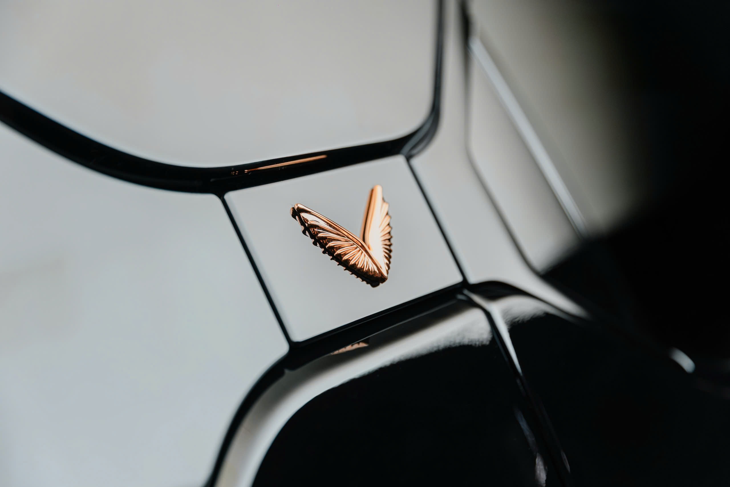 VinFast ảnh 3 VinFast anh 3