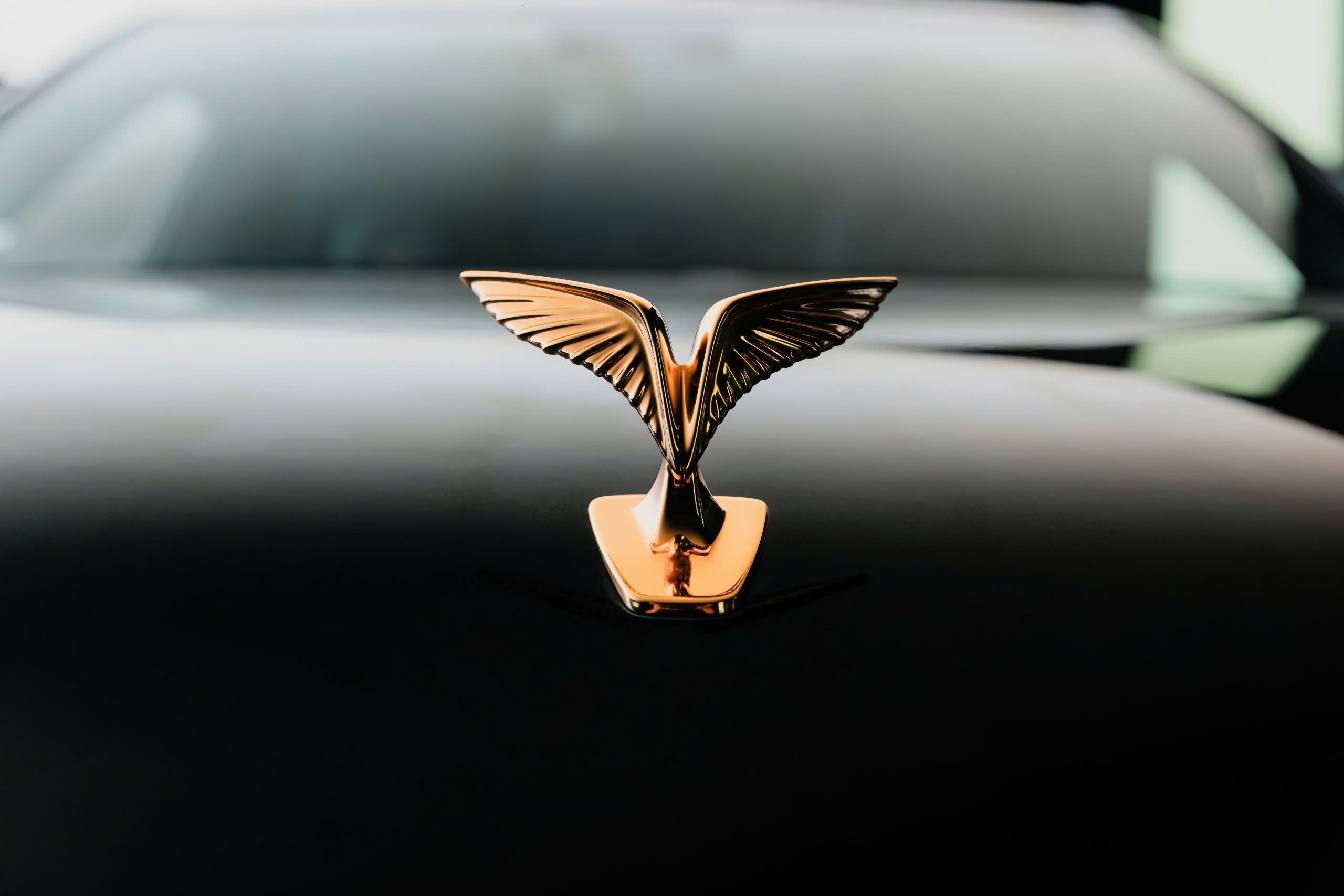 VinFast ảnh 4 VinFast anh 4