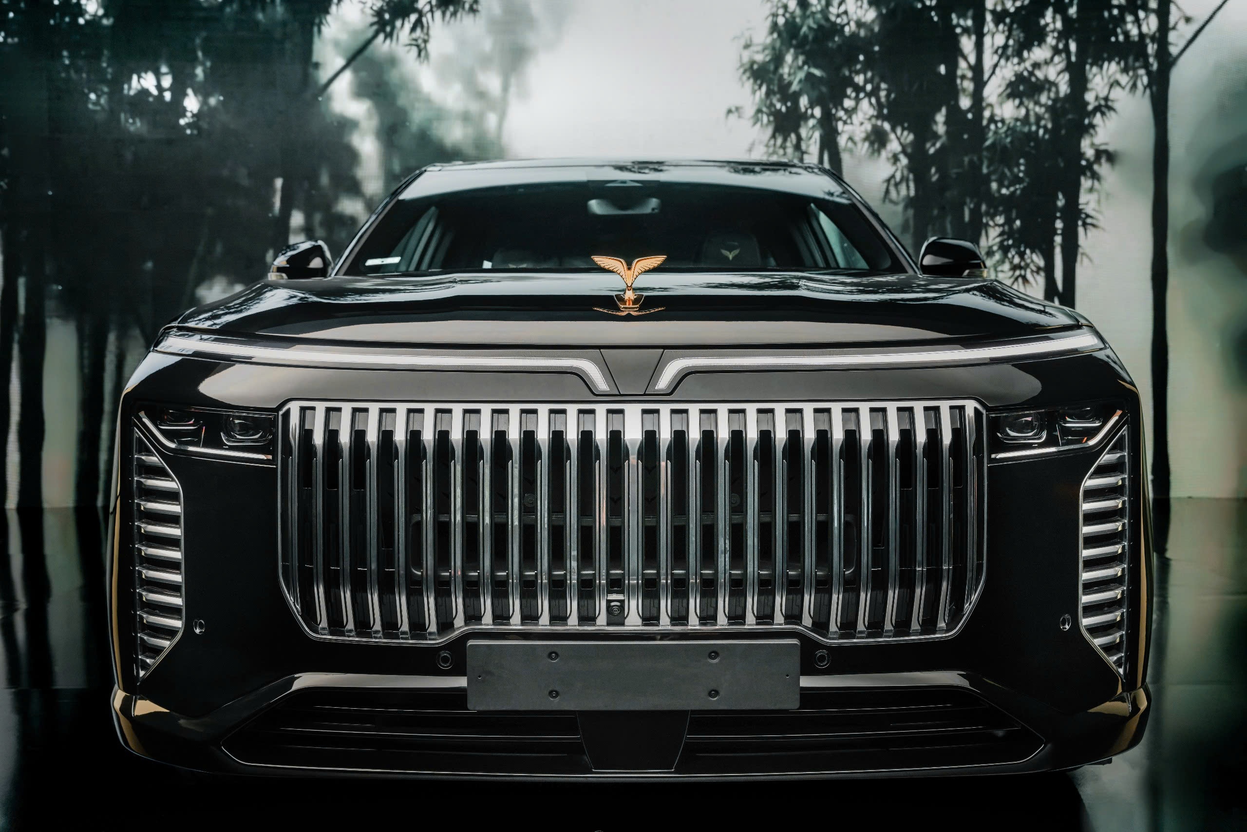 VinFast ảnh 7 VinFast anh 7