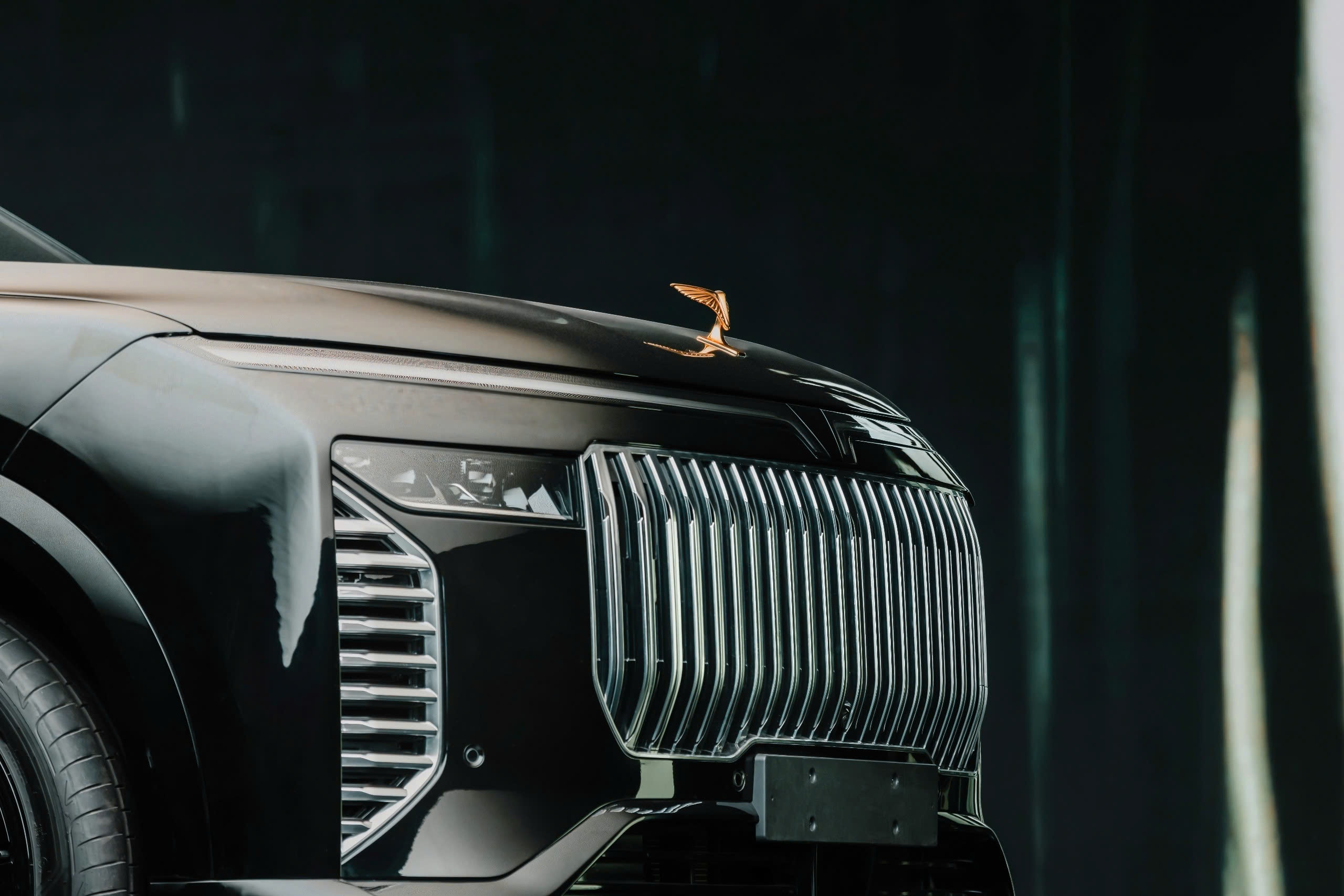 VinFast ảnh 1 VinFast anh 1