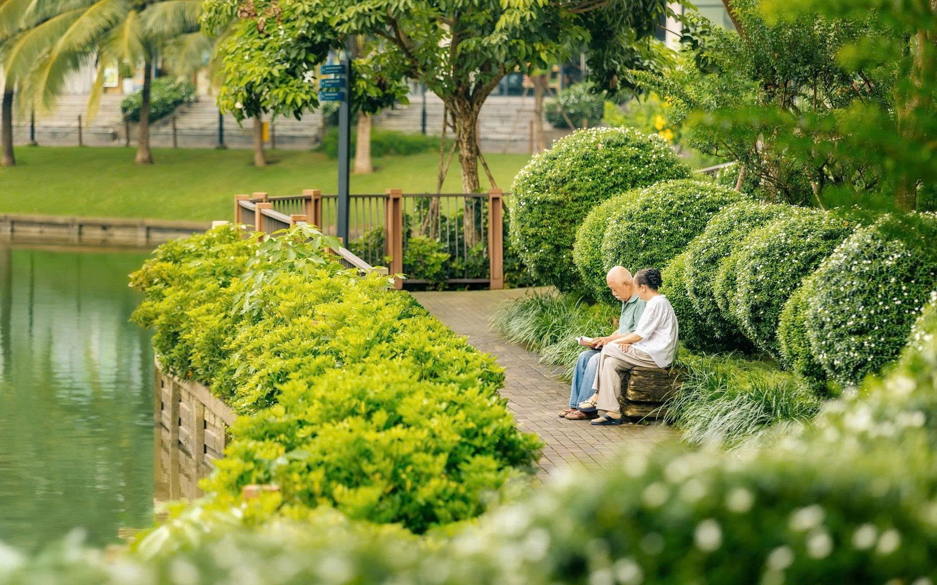 Nam Long ảnh 4 Nam Long anh 4