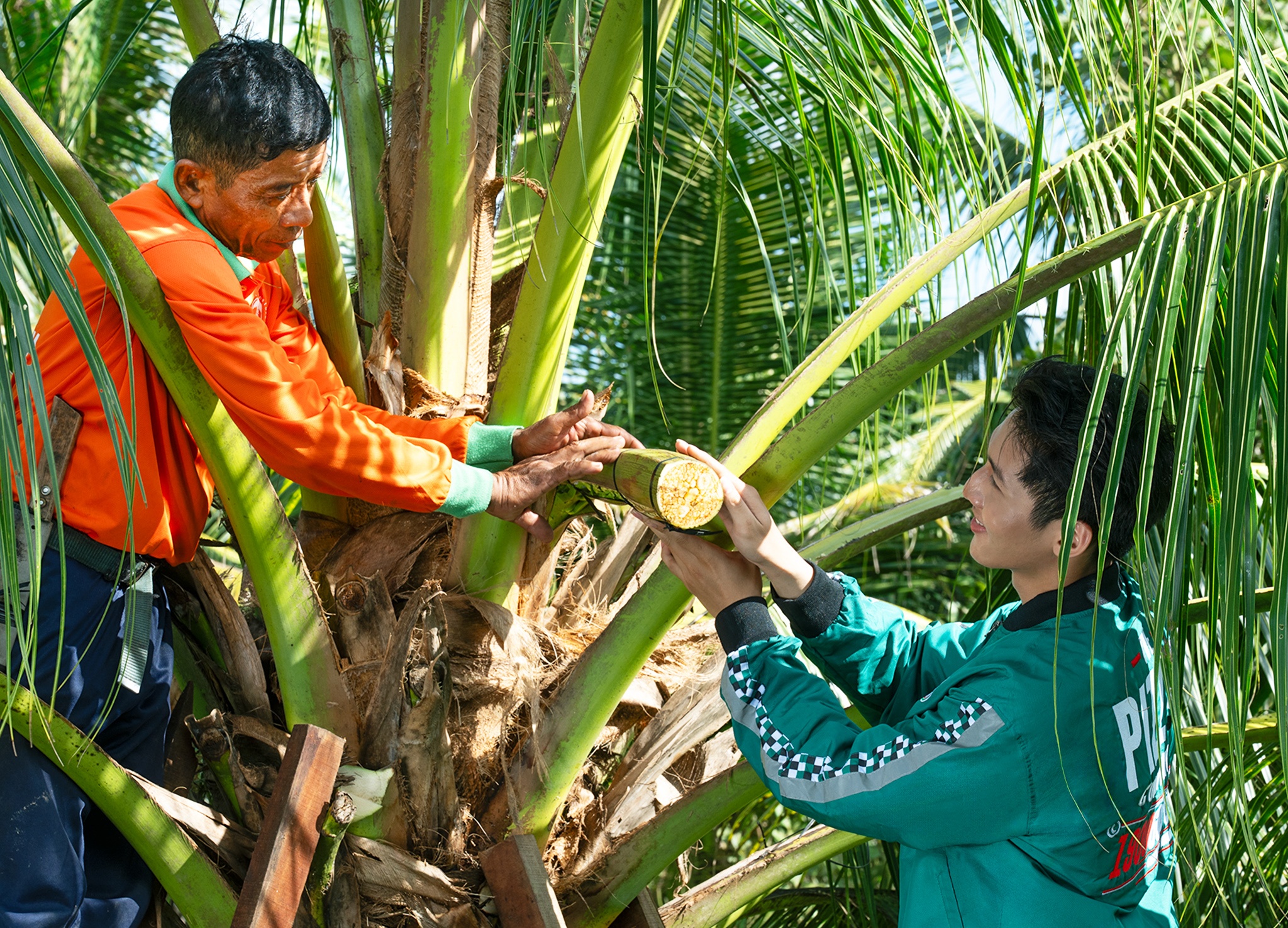 ບຸນຊ່ວງເຮືອງອຍ (ພາບທີ 4) Le hoi dua ghe ngo anh 4