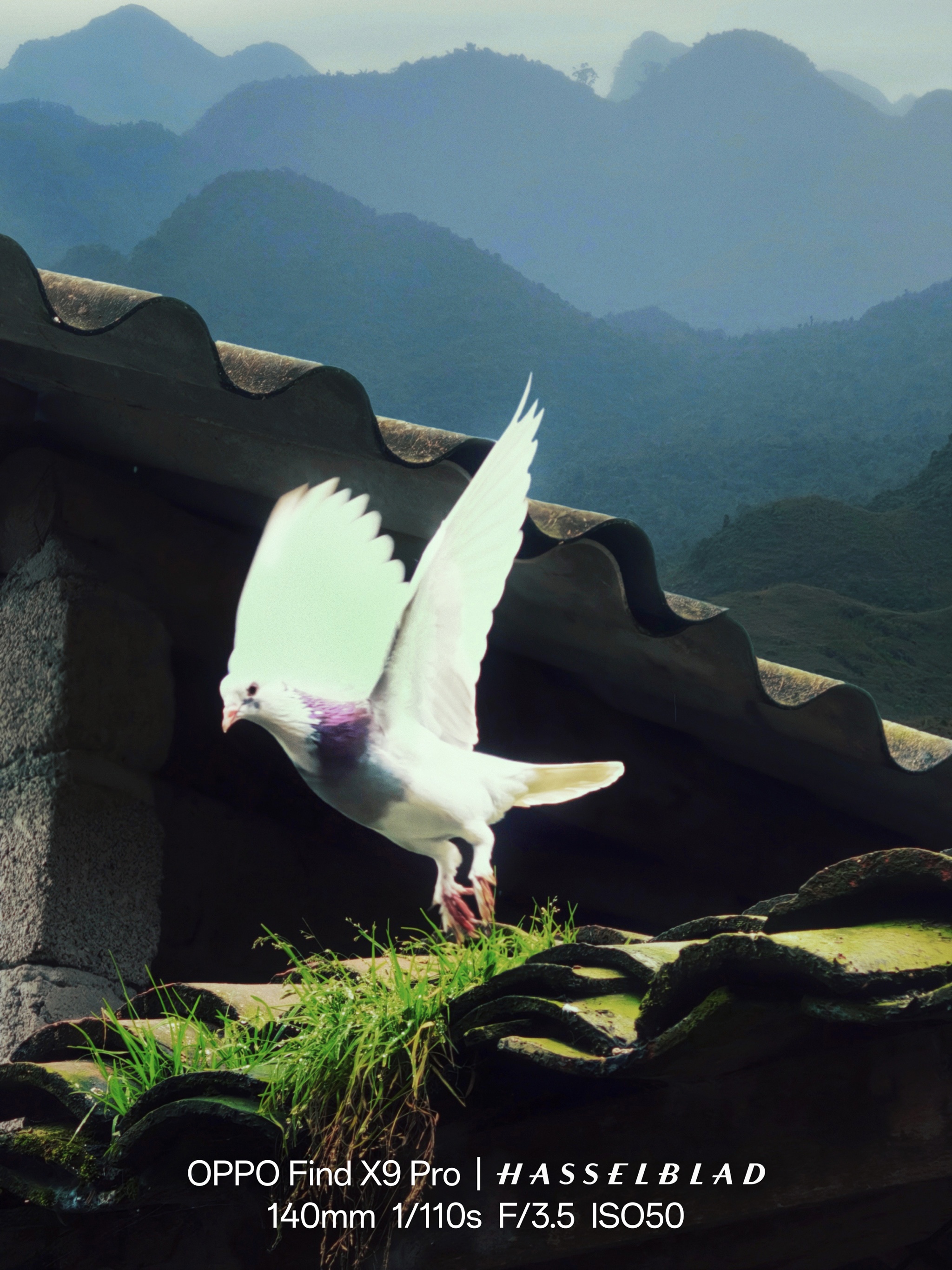 Oppo Find X9 series ảnh 2 Oppo Find X9 series anh 2