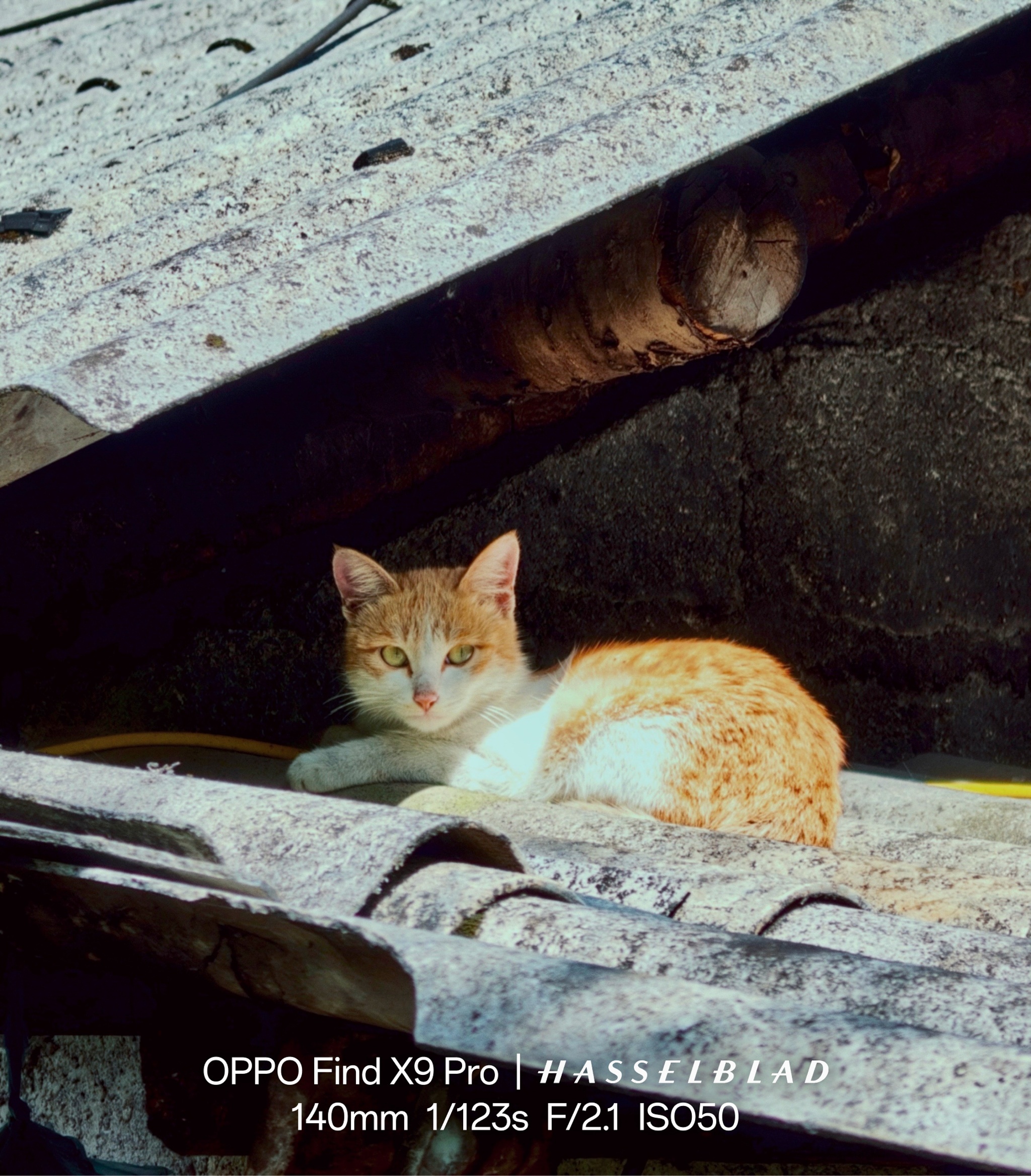 Oppo Find X9 series ảnh 1 Oppo Find X9 series anh 1