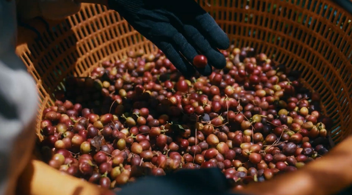 Shopee ảnh 1 Shopee anh 1