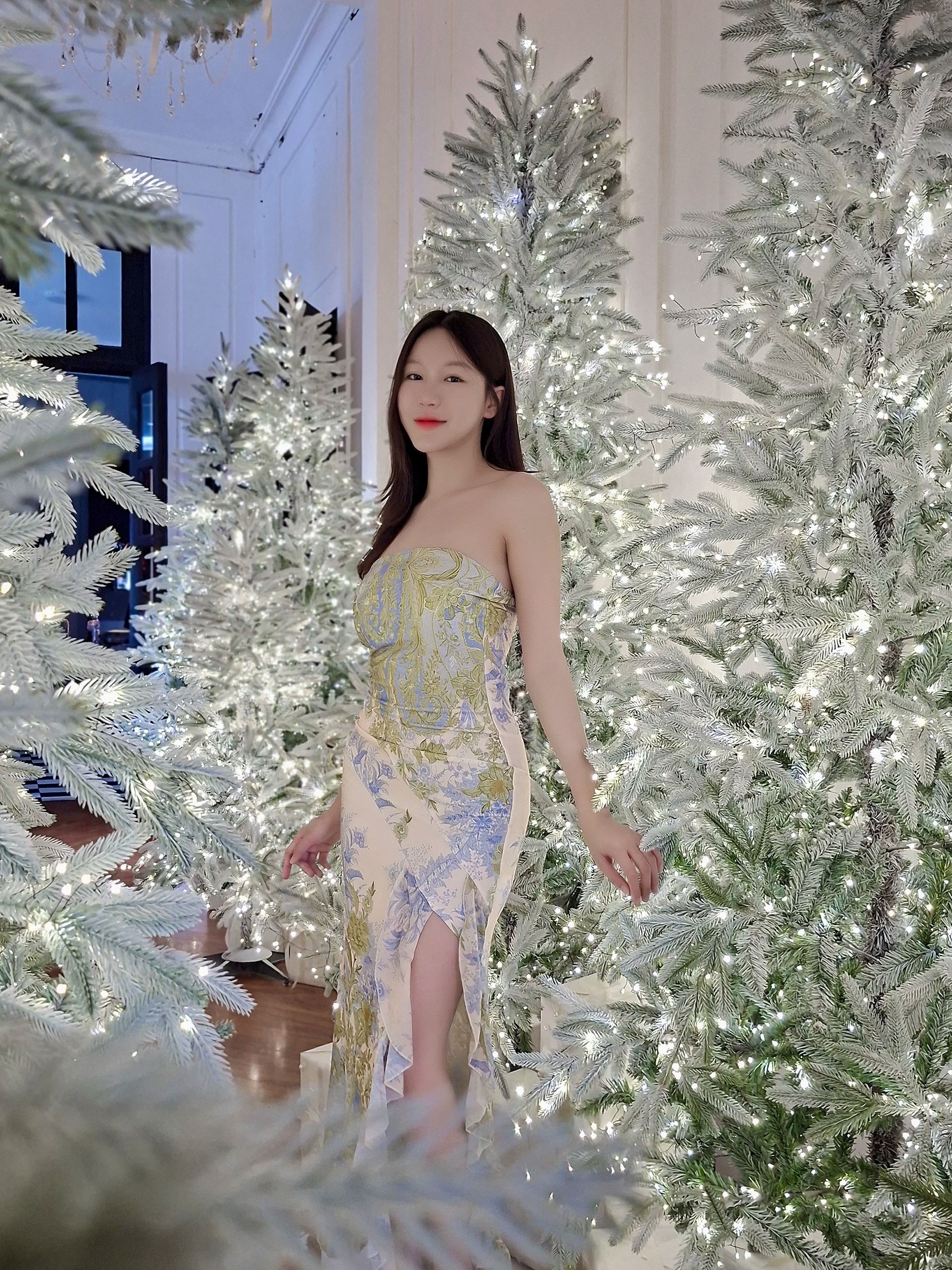 រូបថតផ្ទាល់របស់ Gemini ៤ Gemini Live anh 4