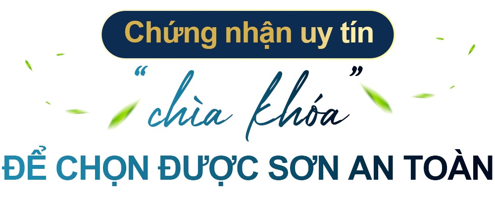Dulux anh 2