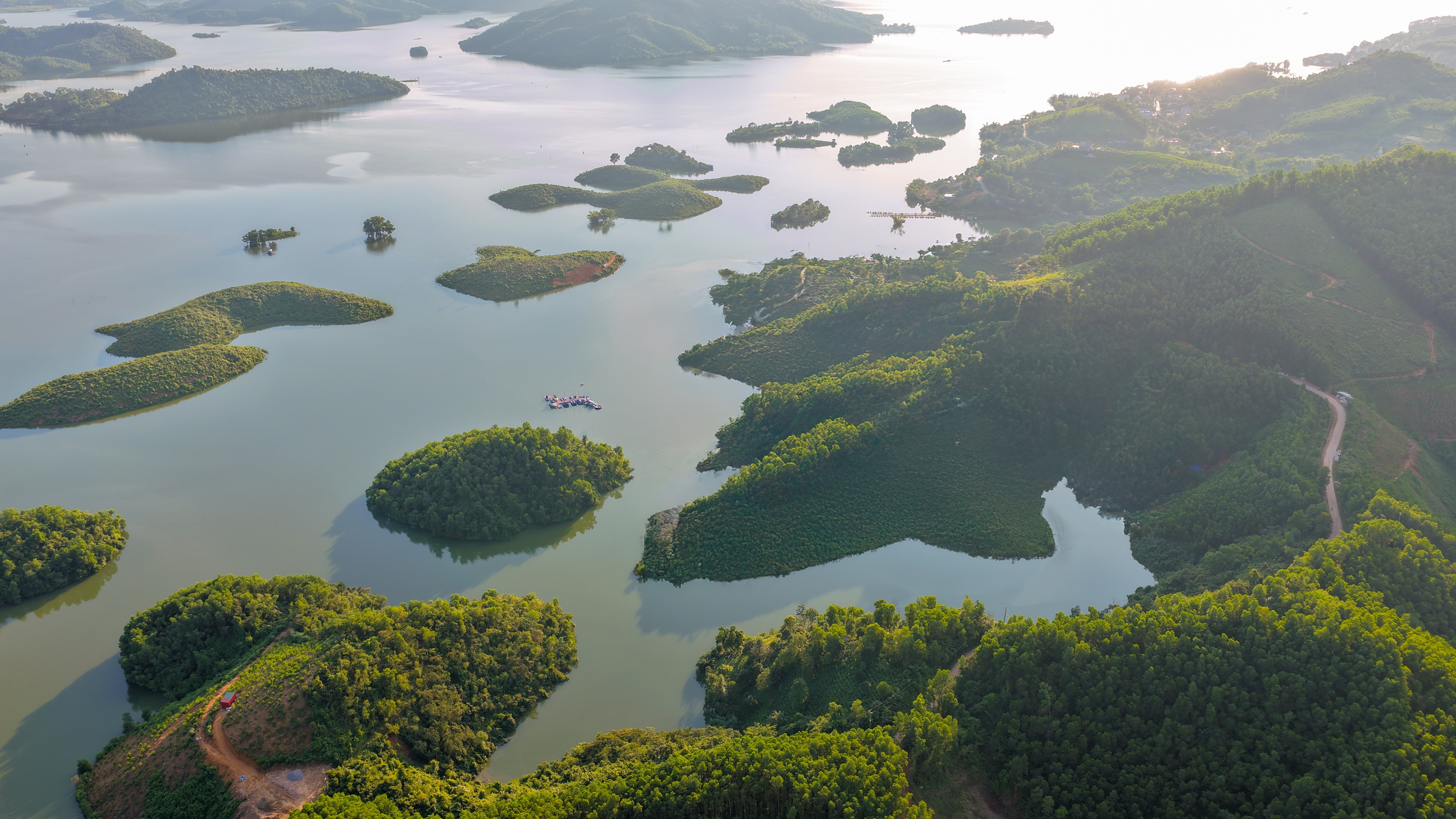 Flamingo Holdings anh 1