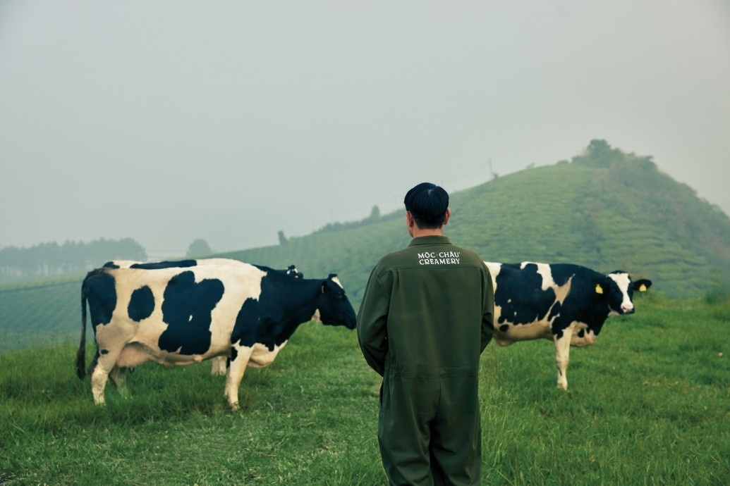 Moc Chau Creamery anh 4